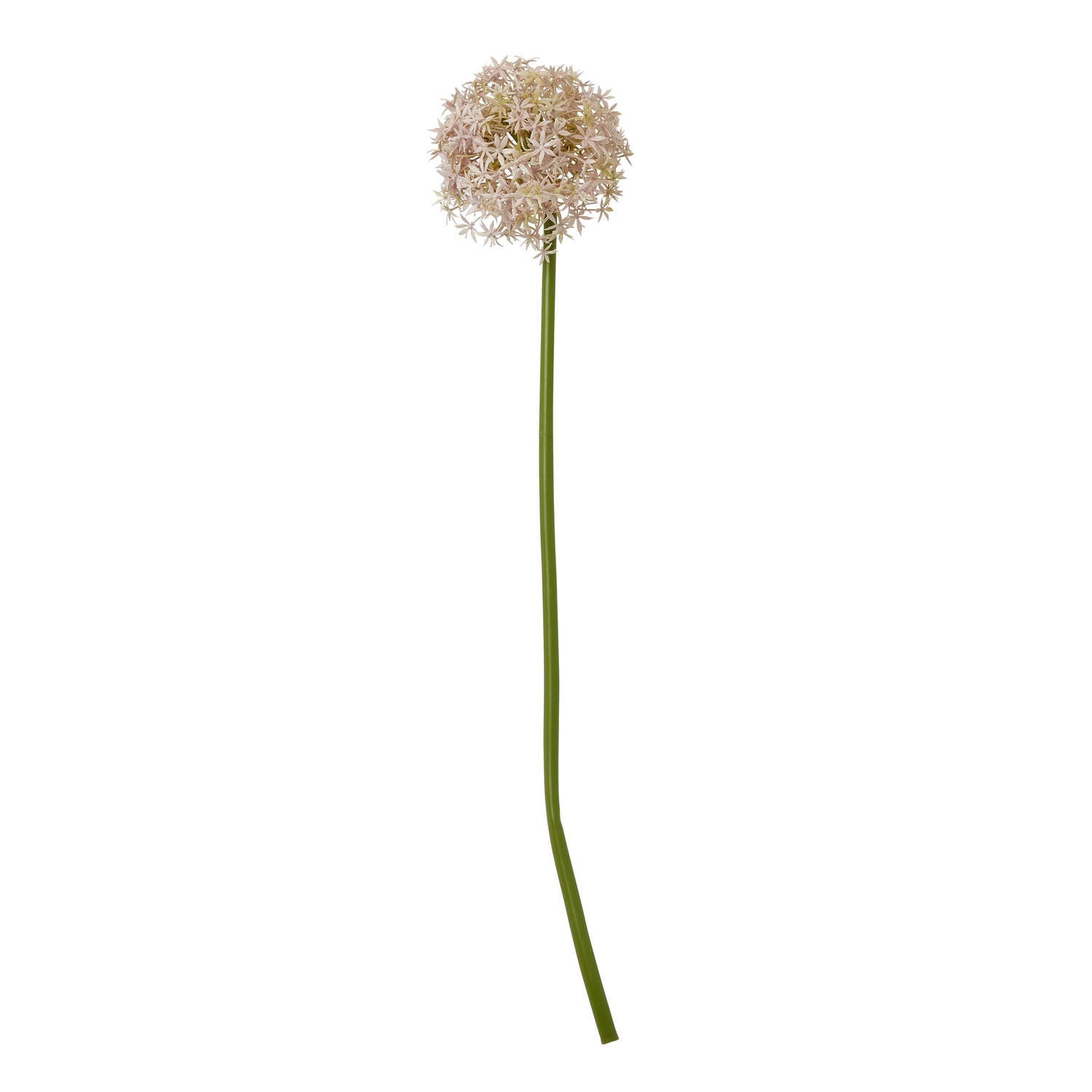 Lilac Allium Stem - Medium - Corinthia Corner