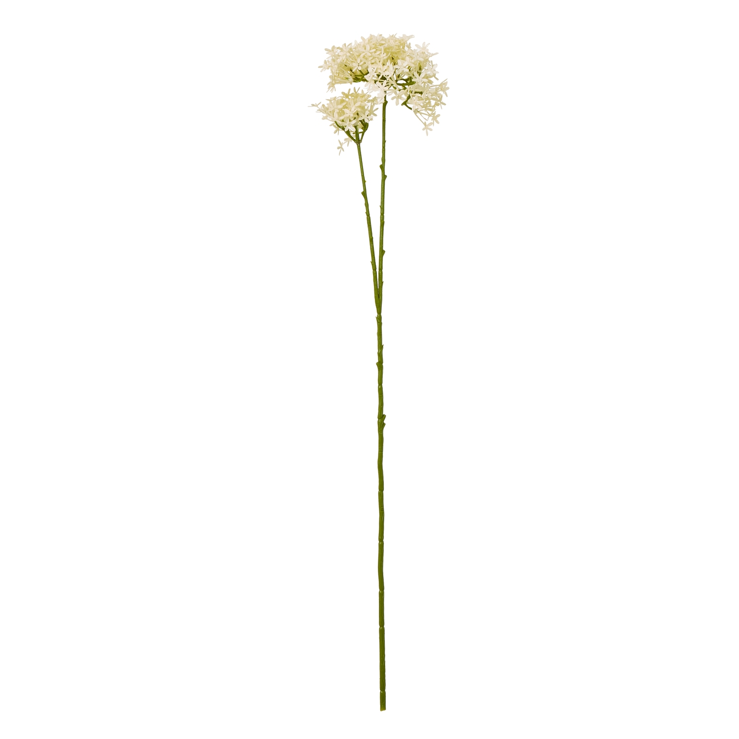 Cremo Crown Hydrangea Stem - Corinthia Corner