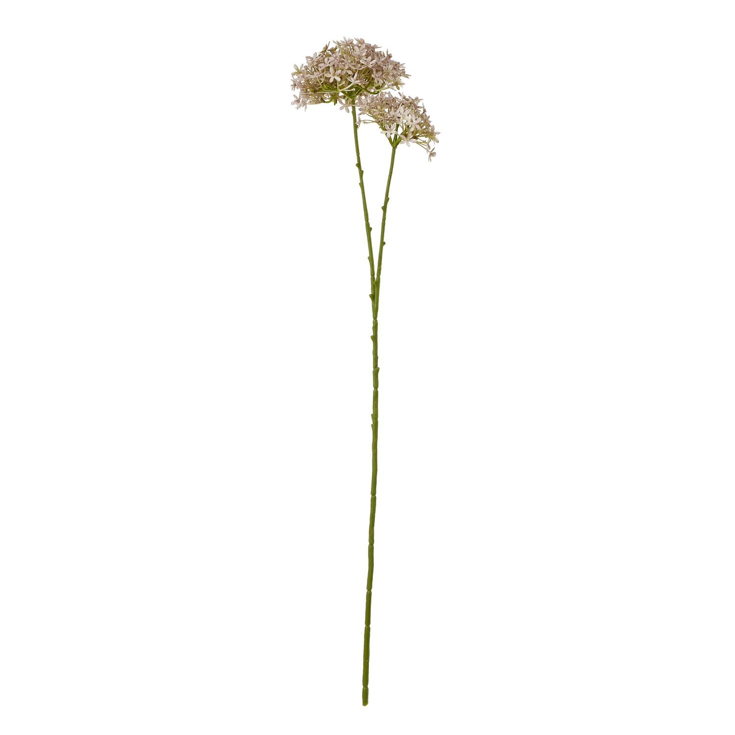 Lilac Crown Hydrangea Stem - Corinthia Corner