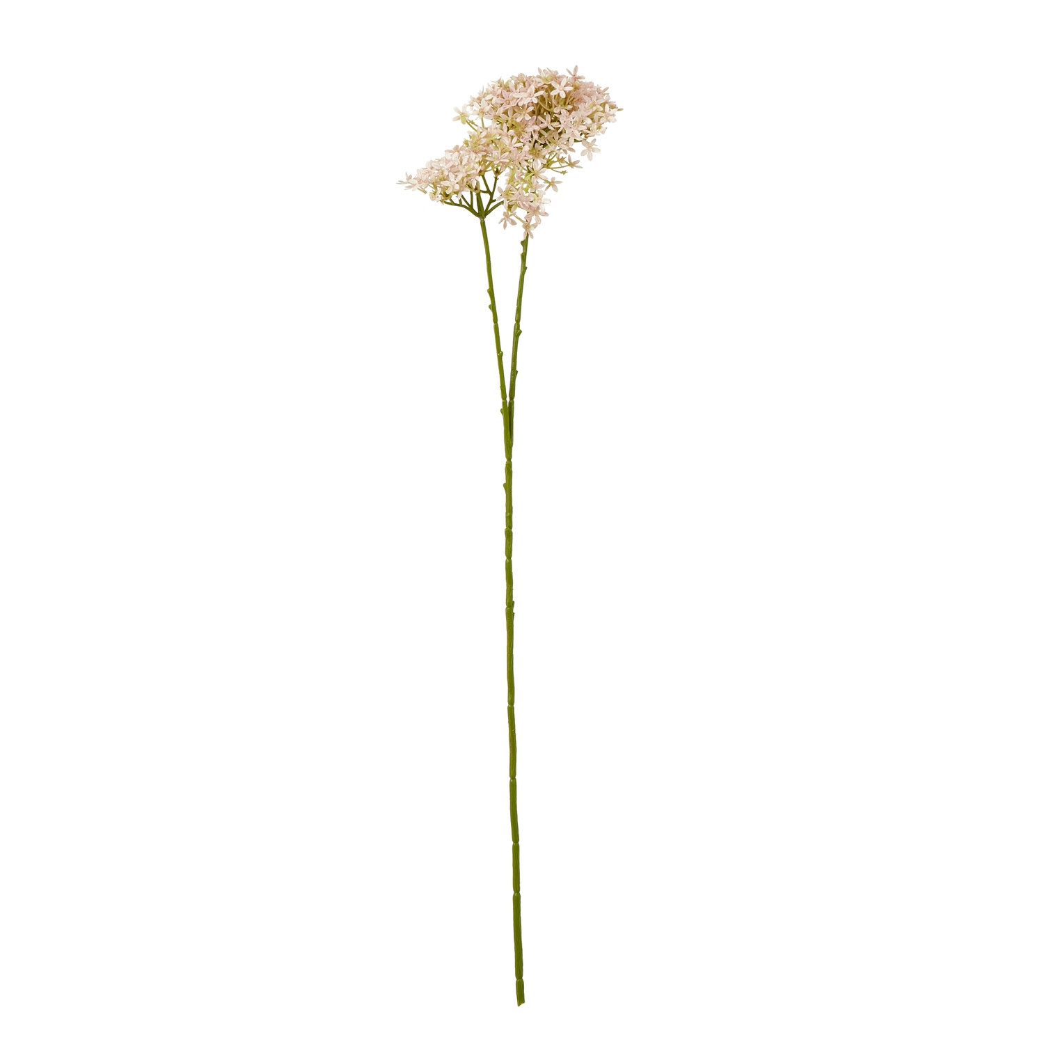 Blanor Pink Crown Hydrangea Stem - Corinthia Corner