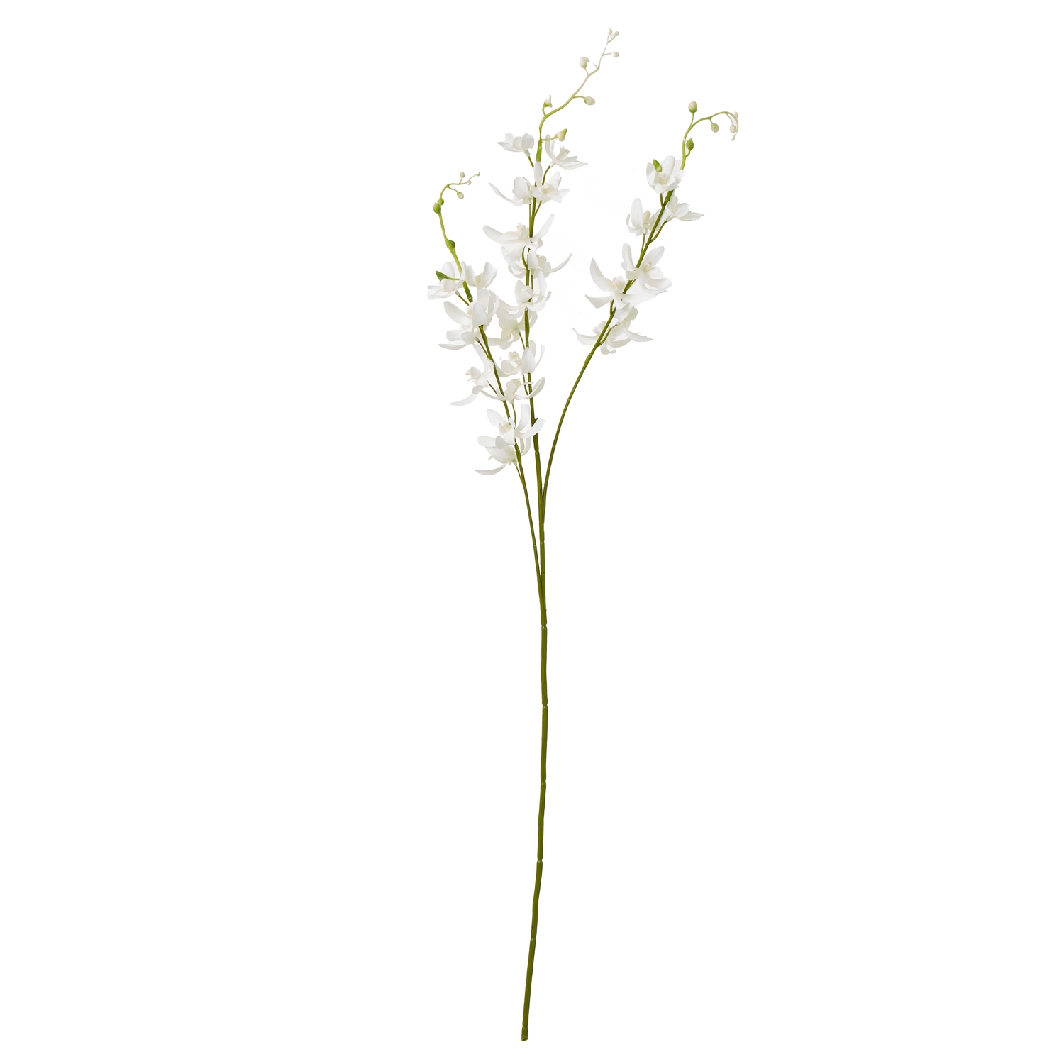 White Cymbidium Spray - Corinthia Corner