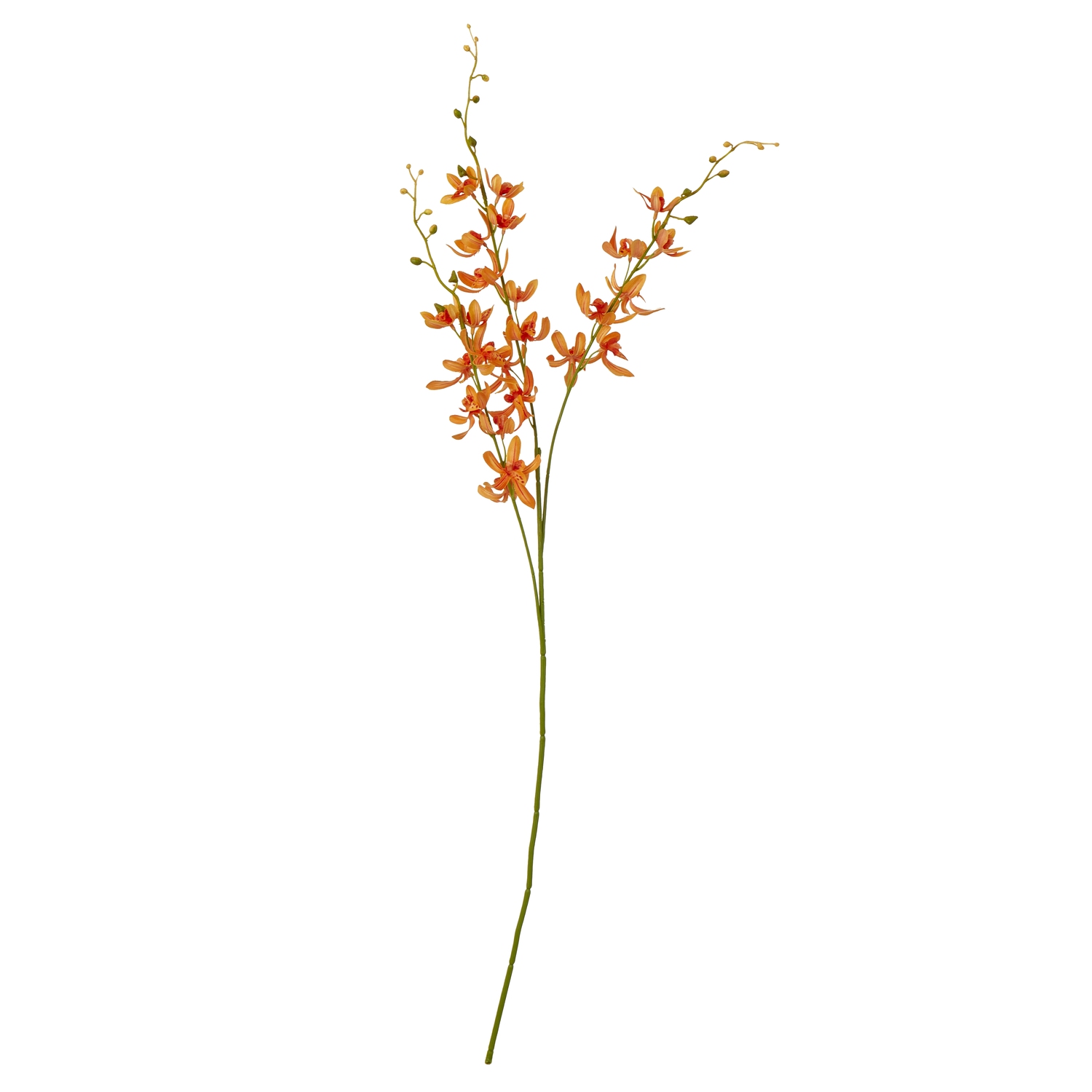 Blanor Orange Cymbidium Spray - Corinthia Corner