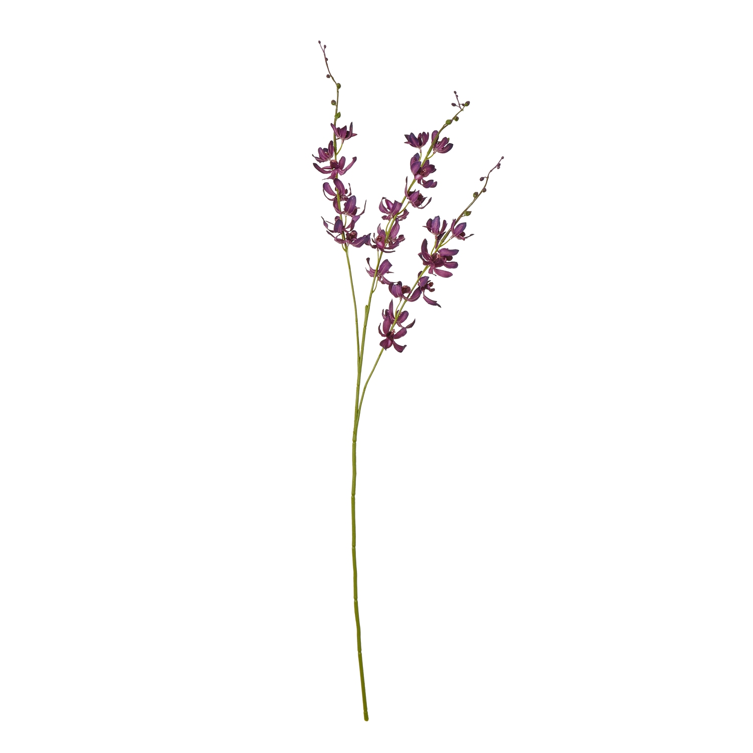 Purpo Cymbidium Spray - Corinthia Corner