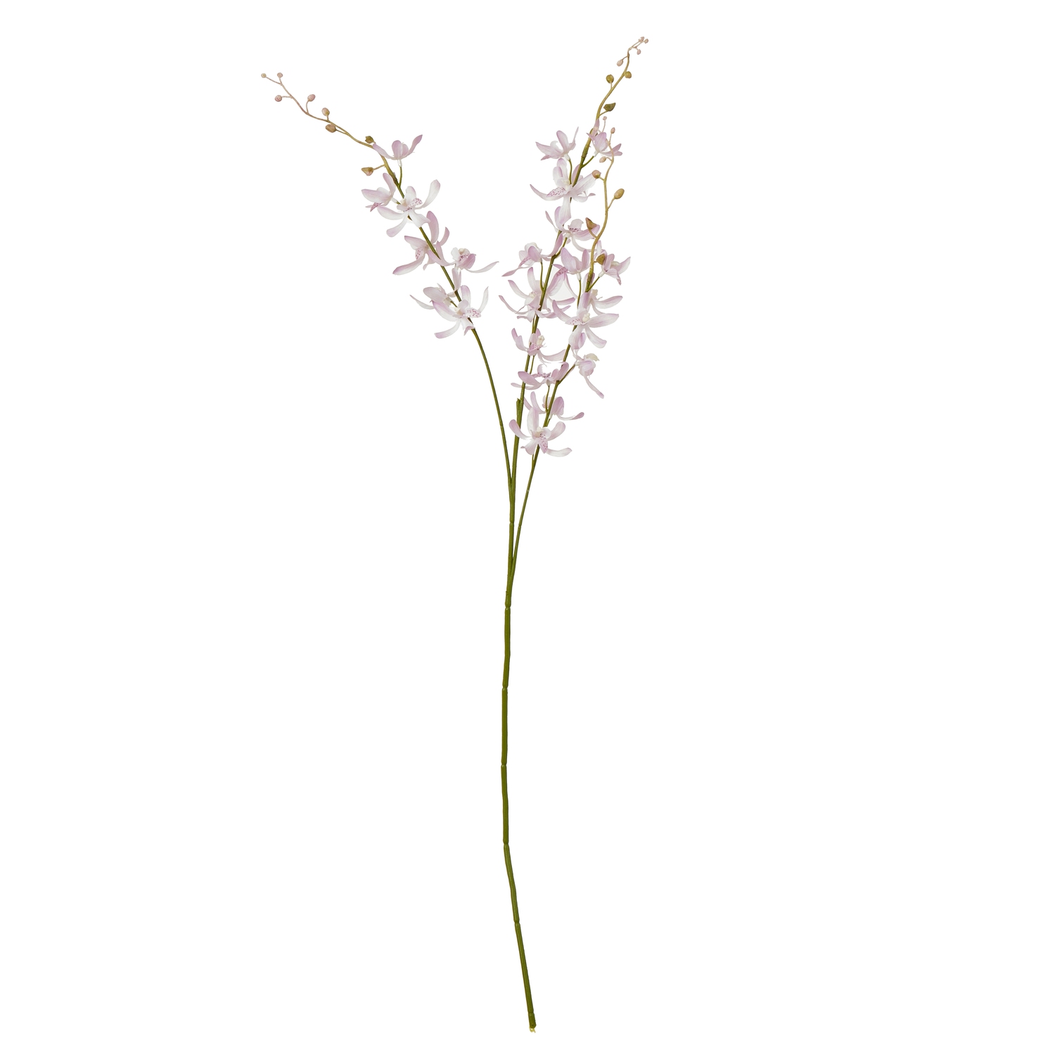 Lilac Cymbidium Spray - Corinthia Corner