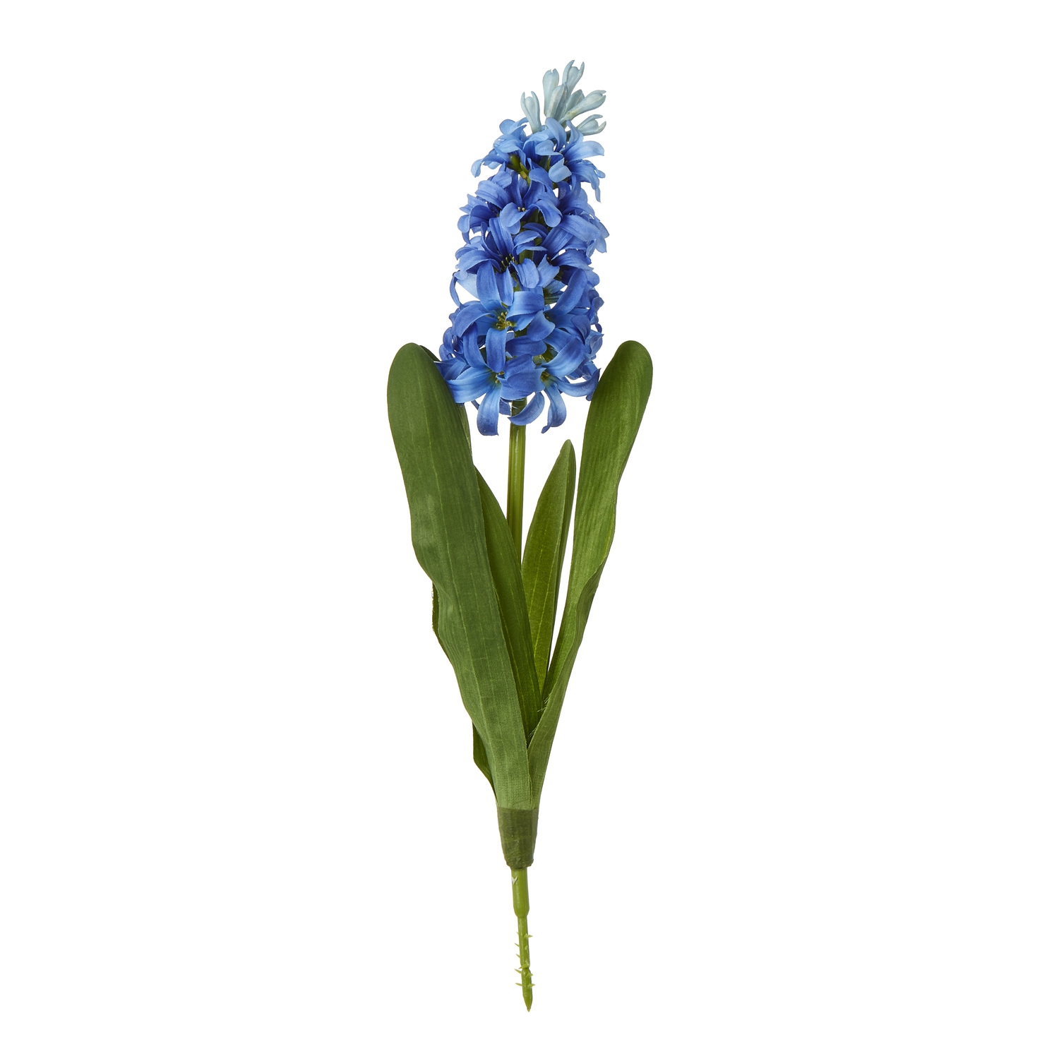Blanor Blue Hyacinth Stem - Corinthia Corner
