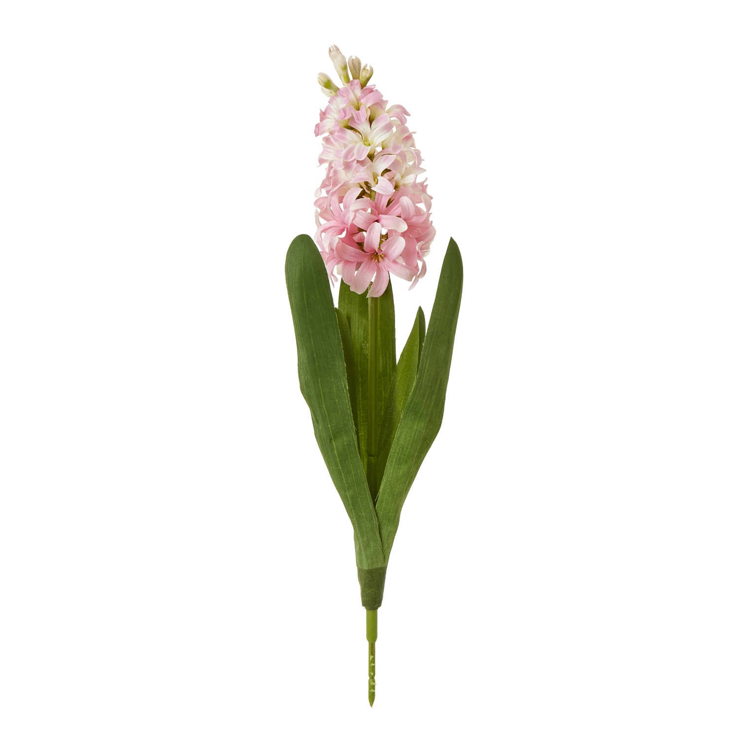 Blanor Pink Hyacinth Stem - Corinthia Corner