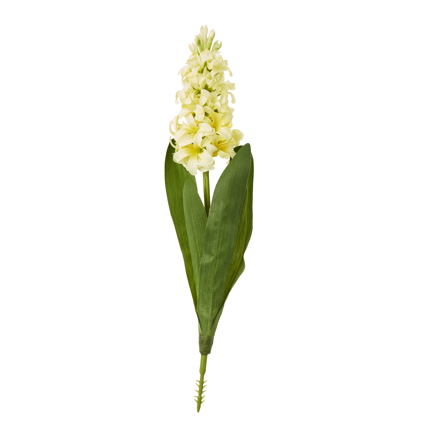 Blanor Yellow Hyacinth Stem - Corinthia Corner