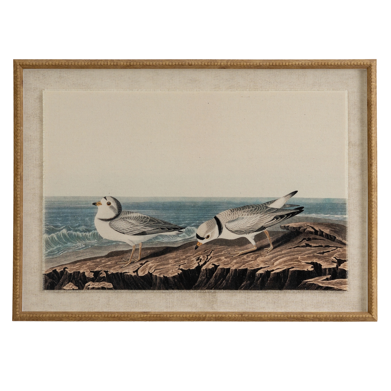Flor Plovers Art In Beaded Frame - Corinthia Corner