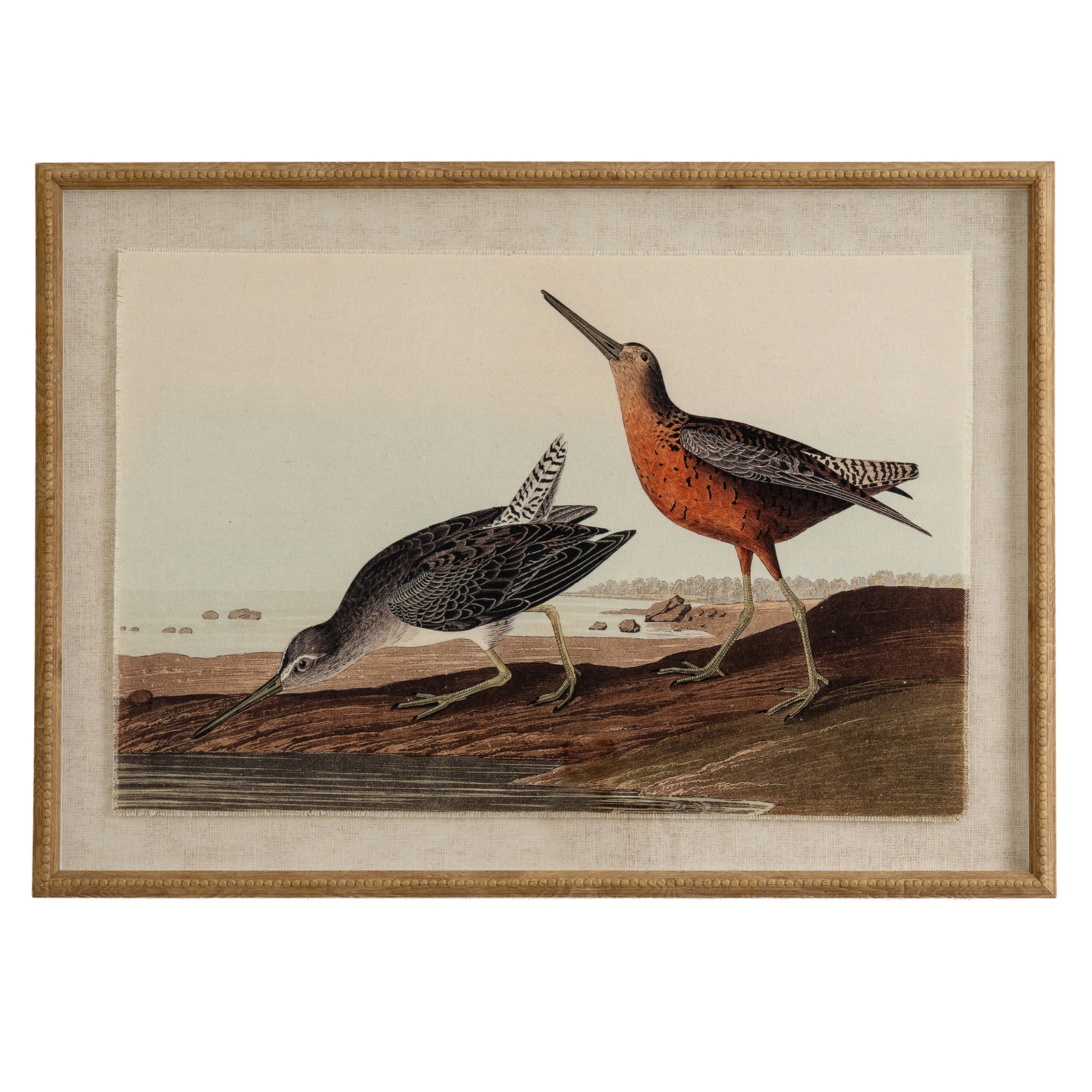 Flor Snipes Art In Beaded Frame - Corinthia Corner