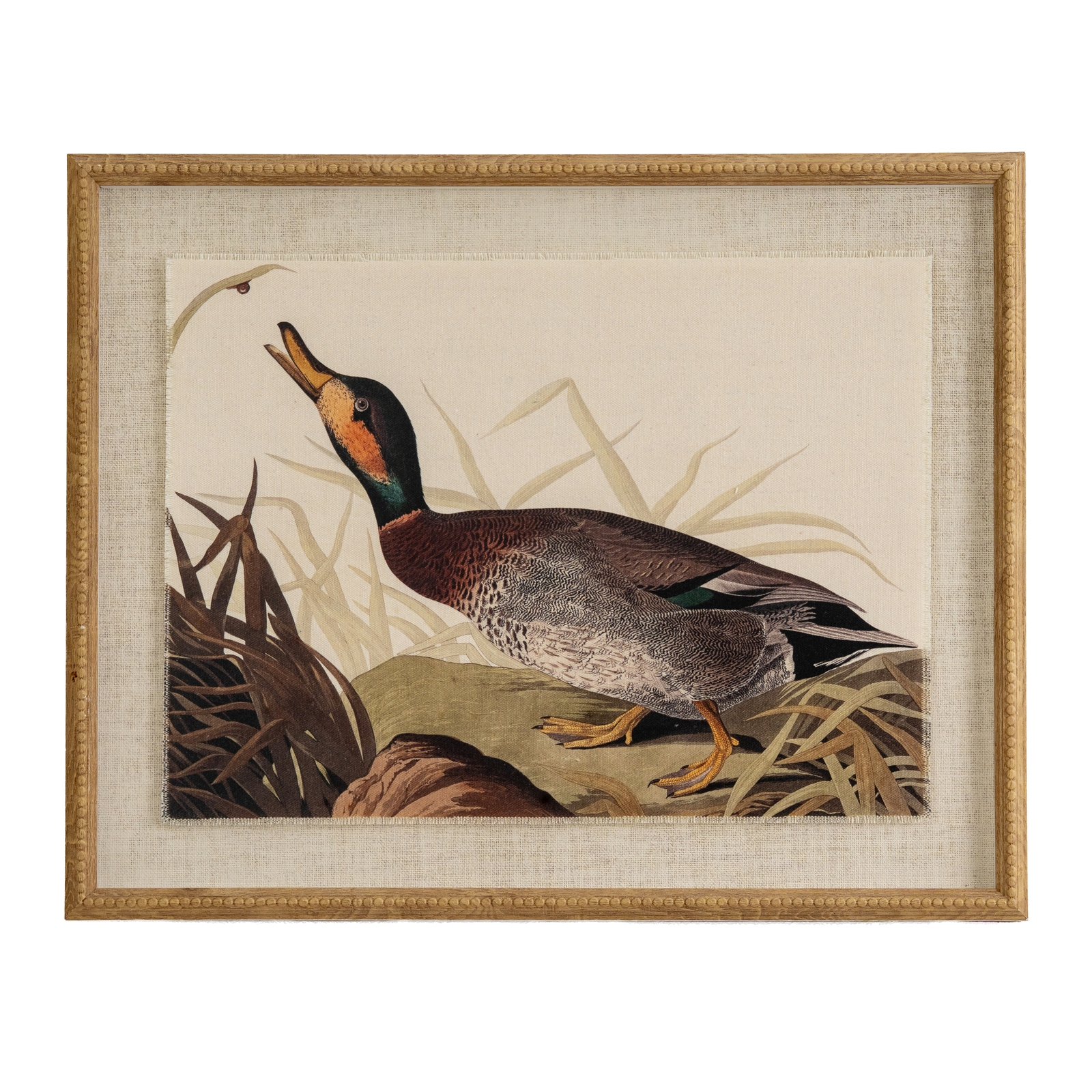 Flor Duck Art In Beaded Frame - Corinthia Corner