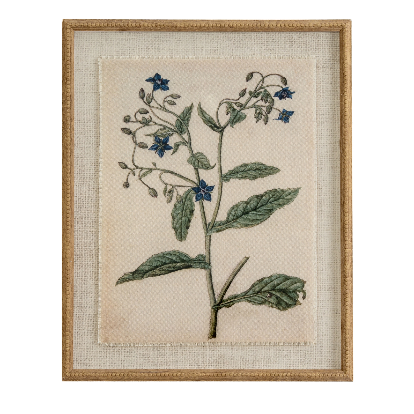 Flor Borage Art In Beaded Frame - Corinthia Corner