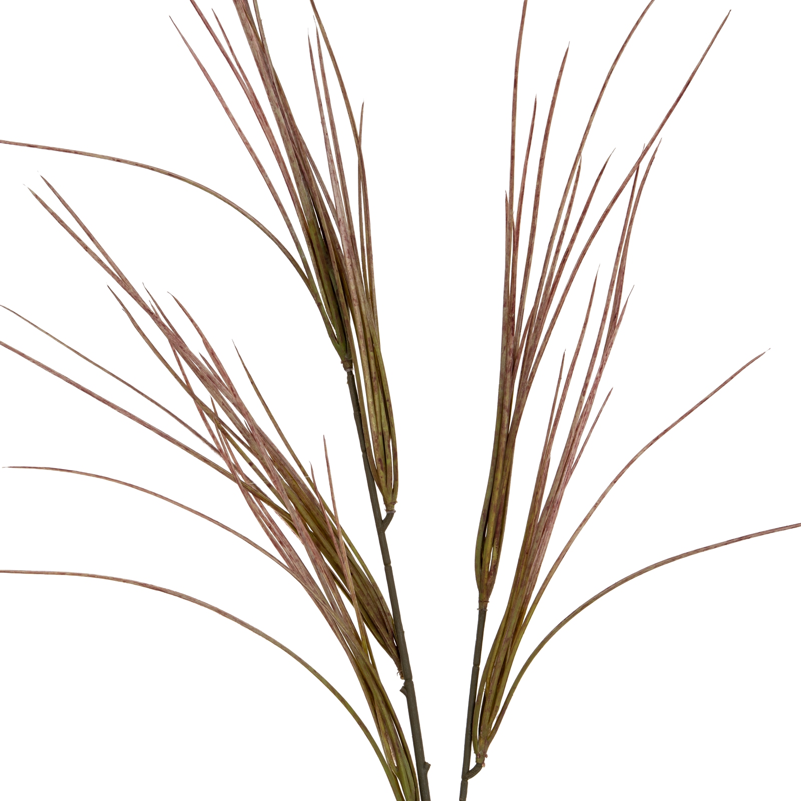 Bromo Grass Spray - Corinthia Corner