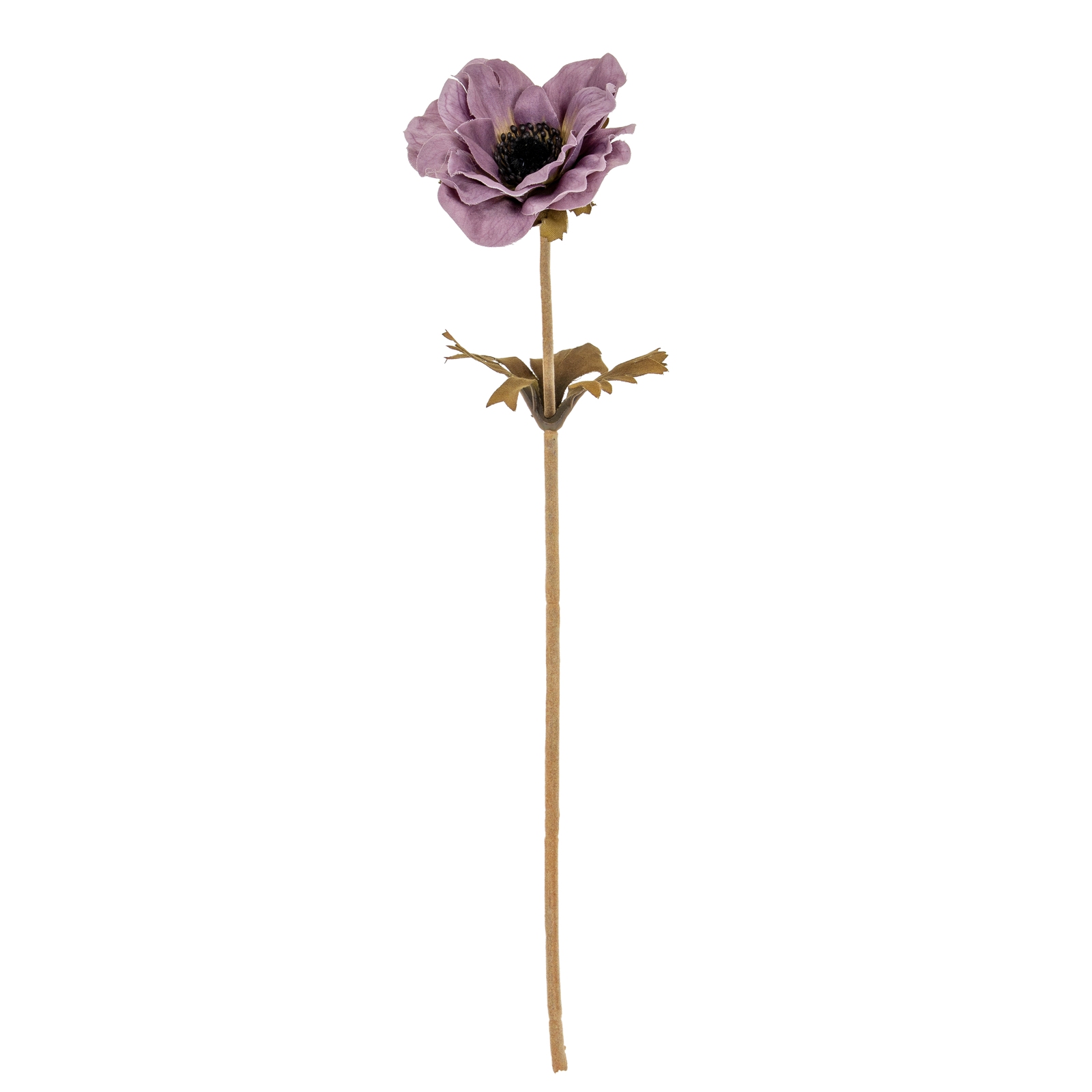 Purpo Anemone Stem - Corinthia Corner