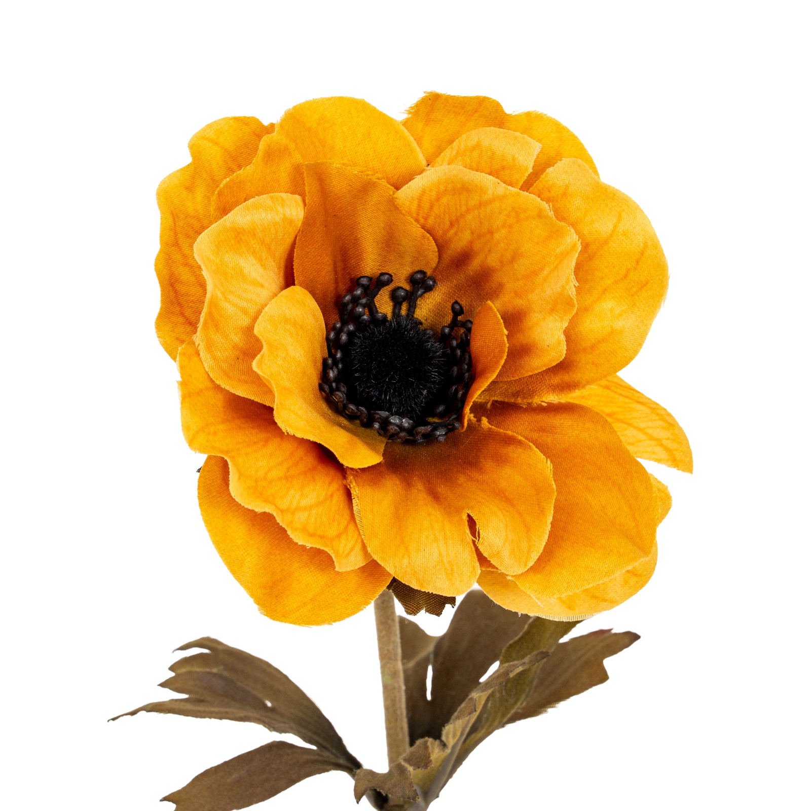 Blanor Yellow Anemone Stem - Corinthia Corner