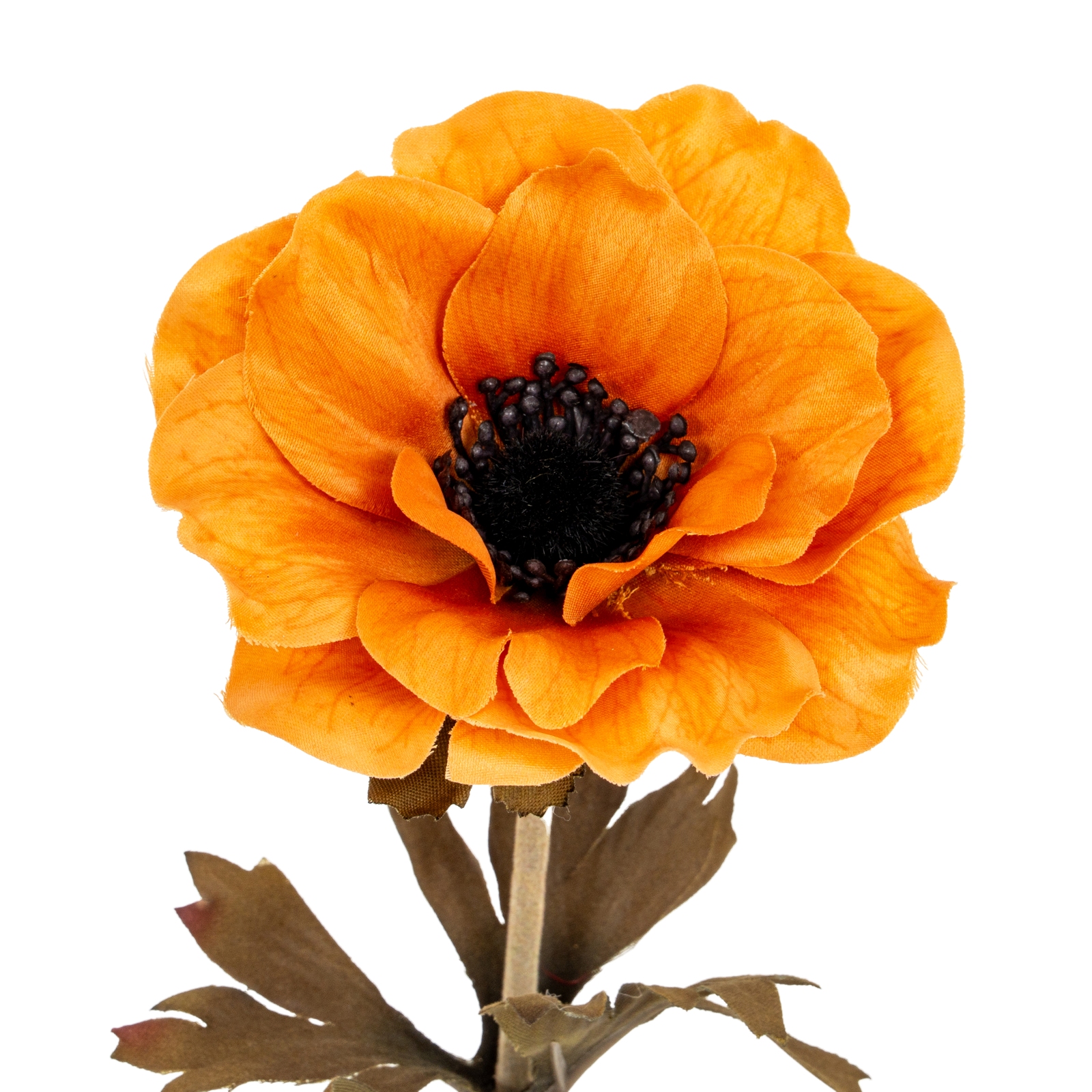 Blanor Orange Anemone Stem - Corinthia Corner