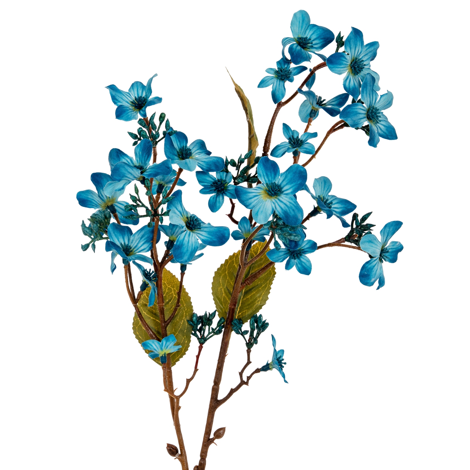 Blanor Blue Vernicia Fordii Spray - Corinthia Corner