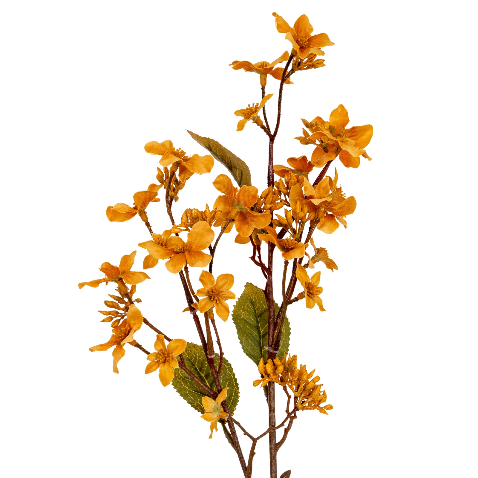 Blanor Yellow Vernicia Fordii Spray - Corinthia Corner