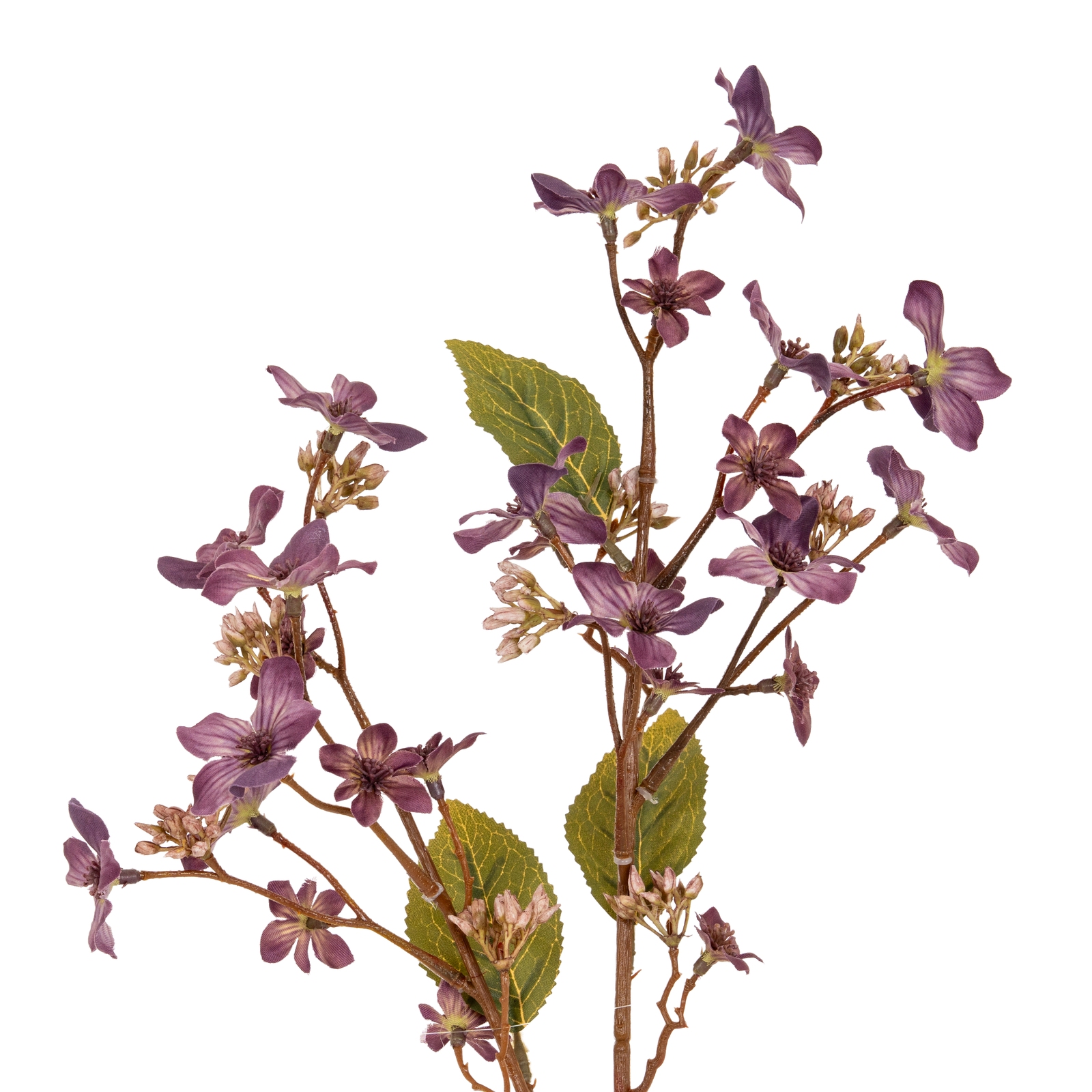 Purpo Vernicia Fordii Spray - Corinthia Corner