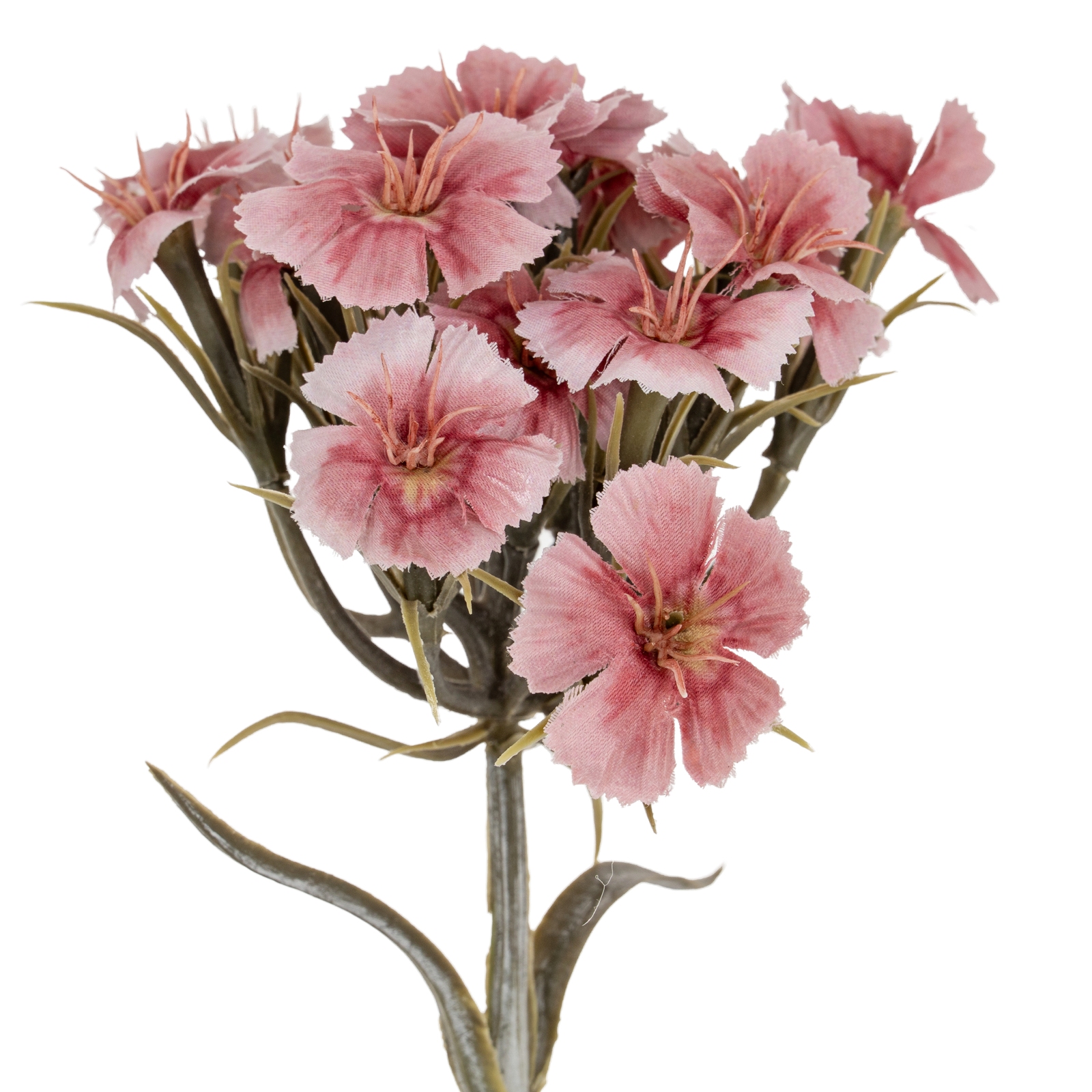 Blanor Pink Dianthus Spray - Corinthia Corner