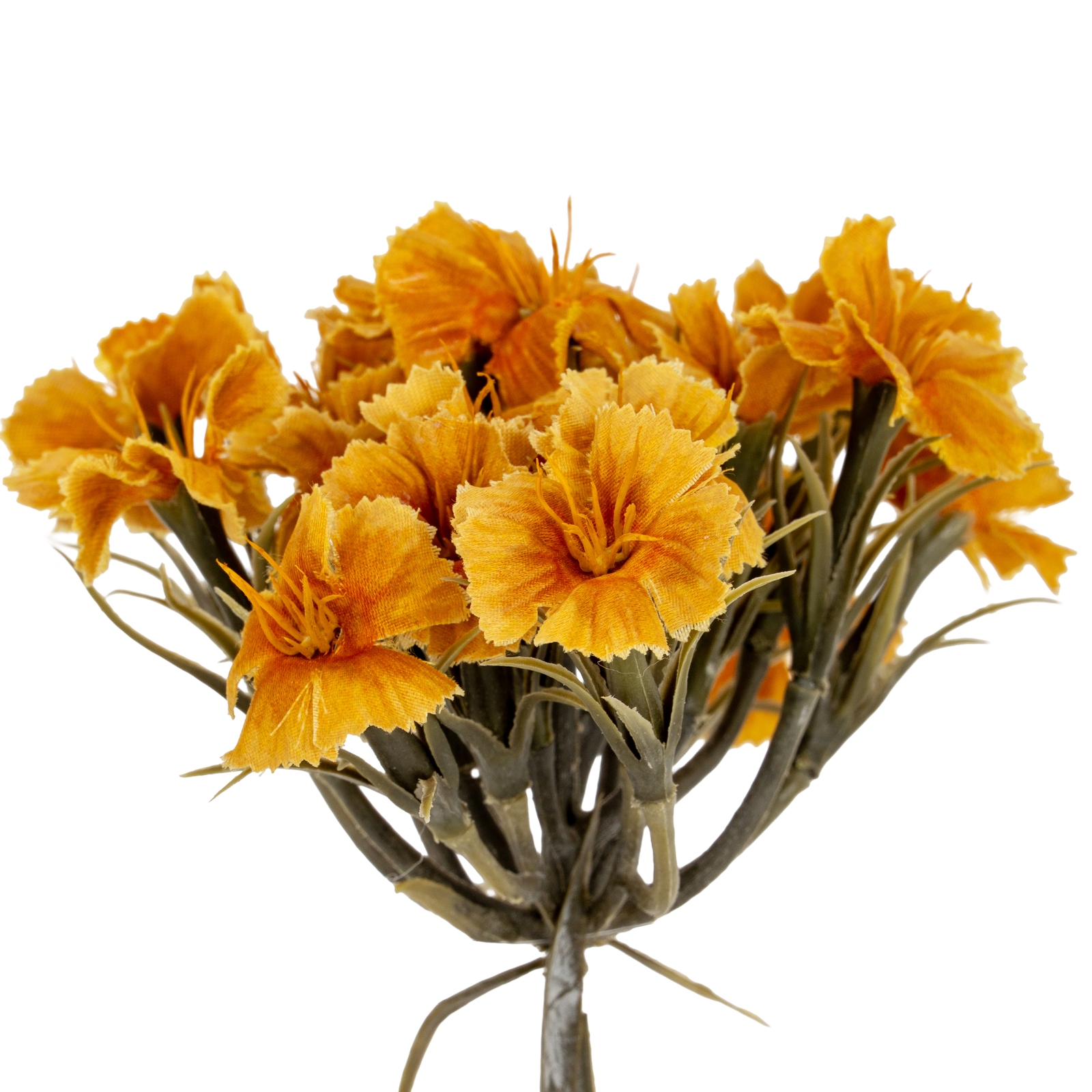 Blanor Yellow Dianthus Spray - Corinthia Corner