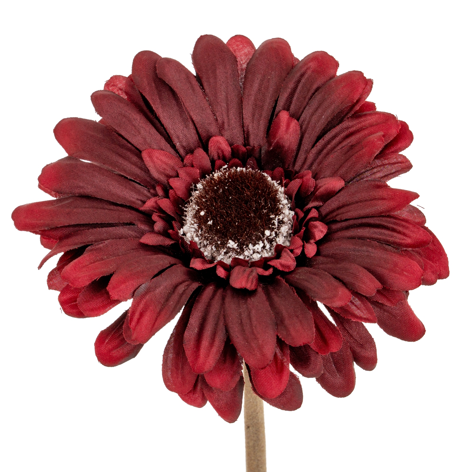 Burgo Gerbera Stem - Corinthia Corner