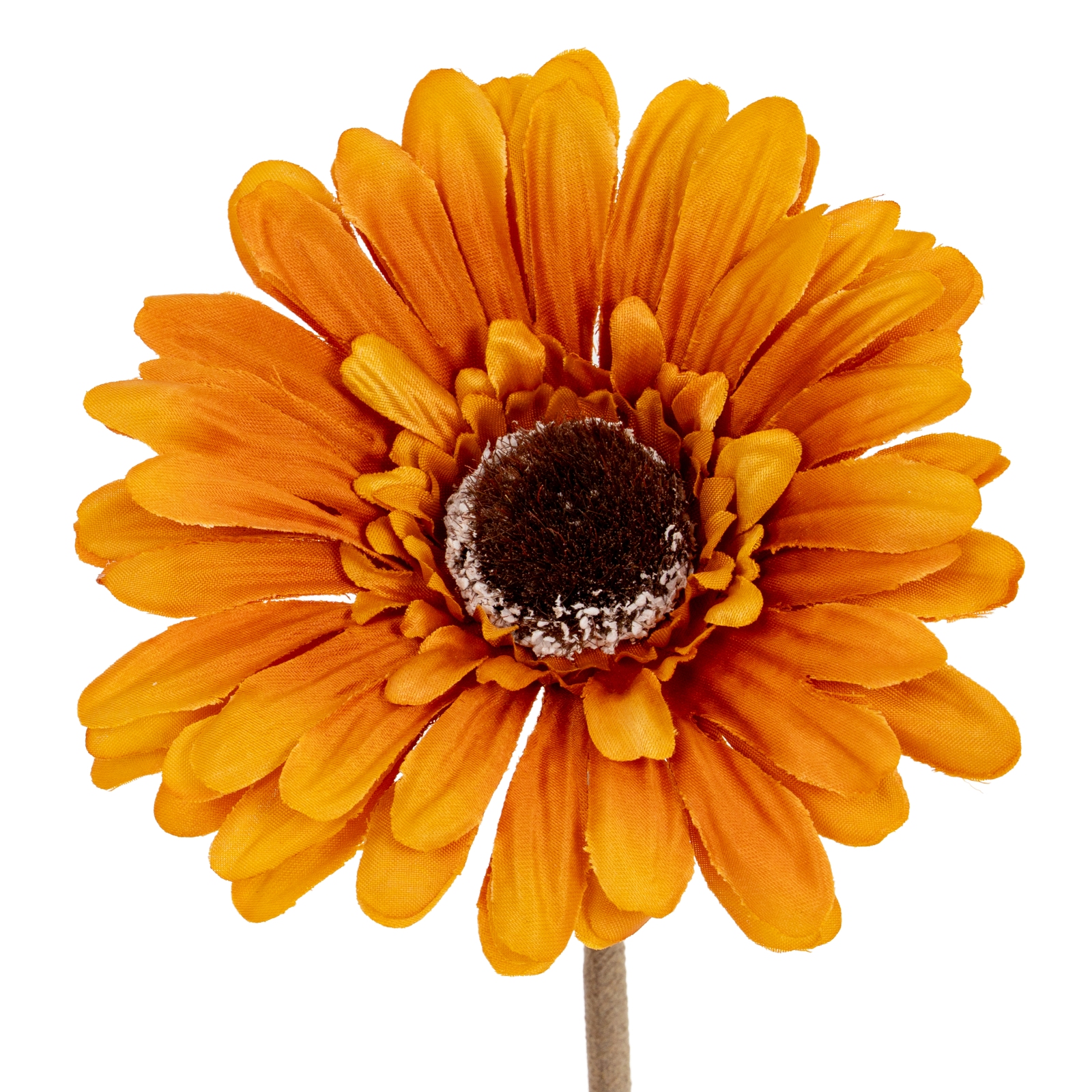 Soft Yellow Gerbera Stem - Corinthia Corner