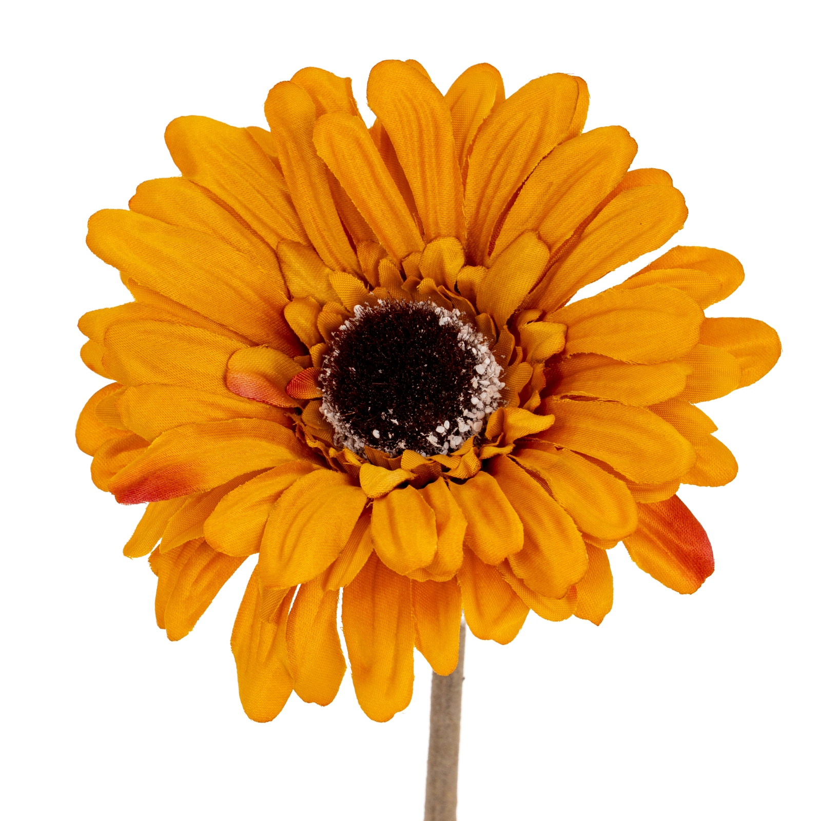 Blanor Orange Gerbera Stem - Corinthia Corner