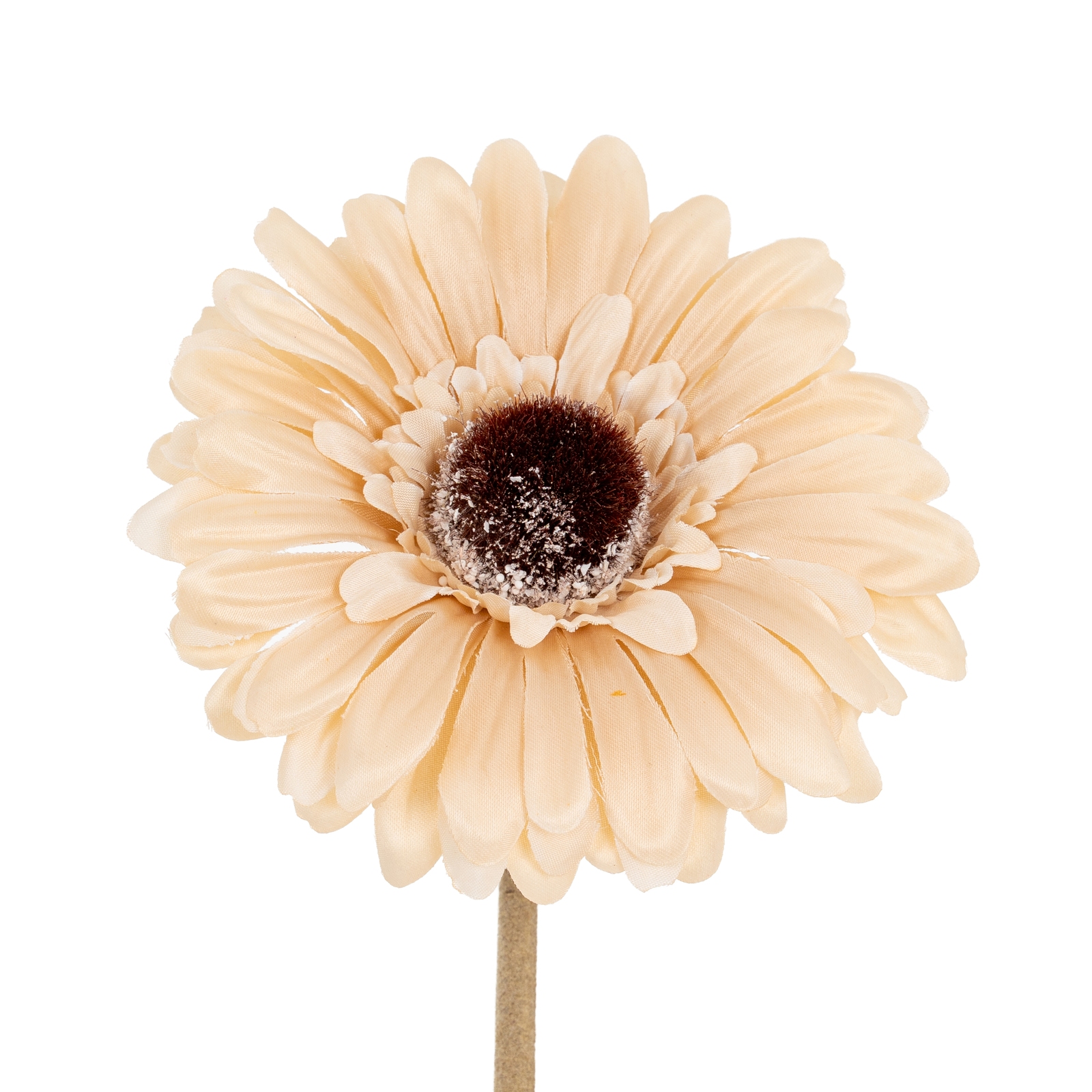 Cremo Gerbera Stem - Corinthia Corner