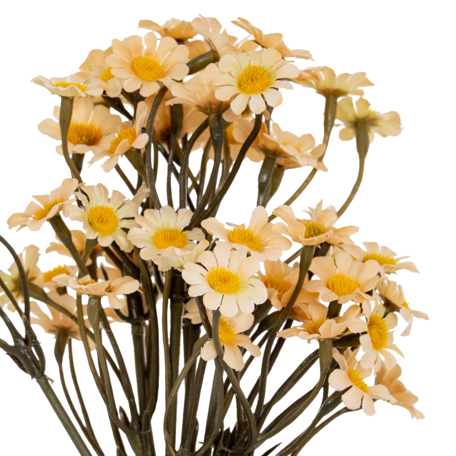 Cremo Daisy Bunch - Corinthia Corner