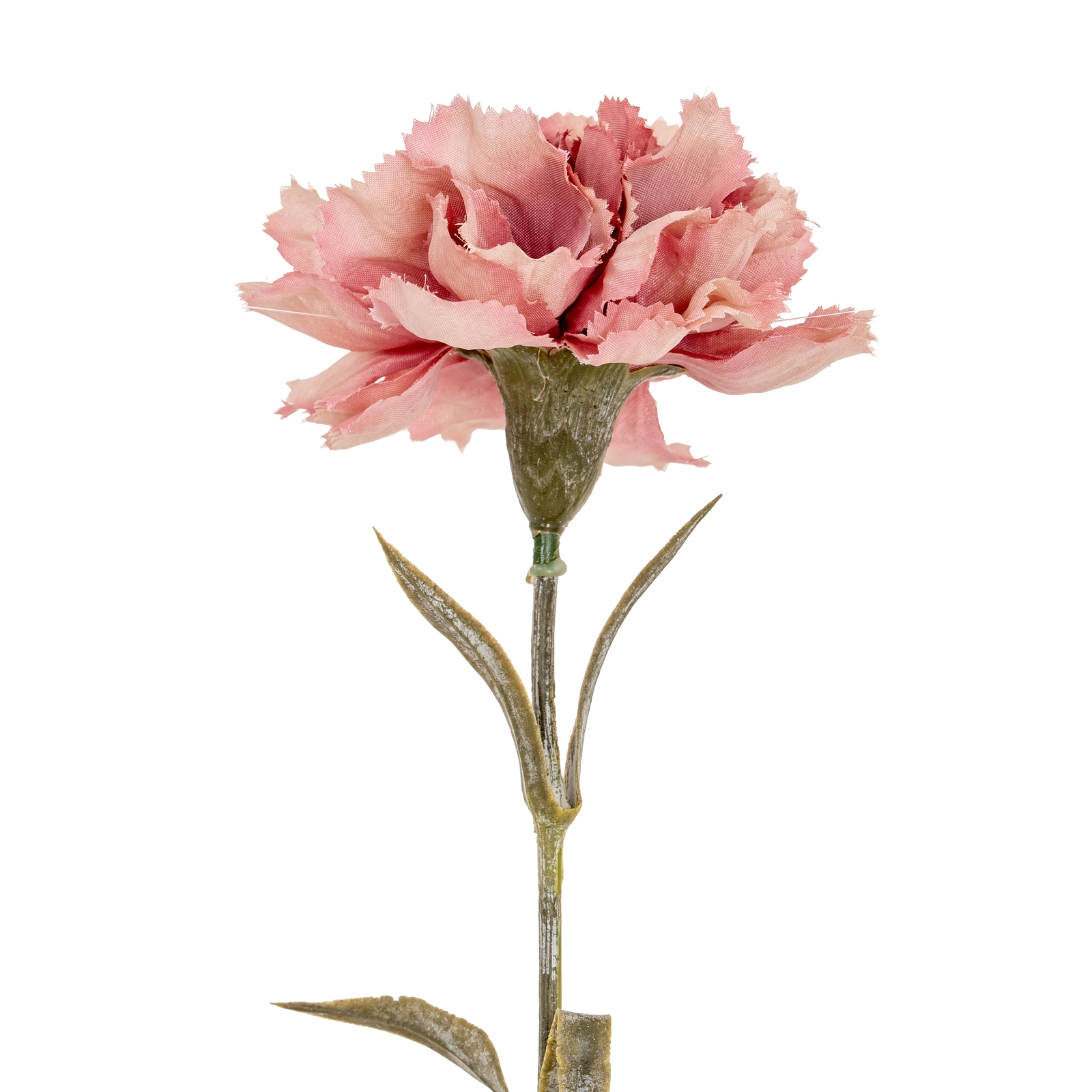 Blanor Pink Carnation Stem - Corinthia Corner
