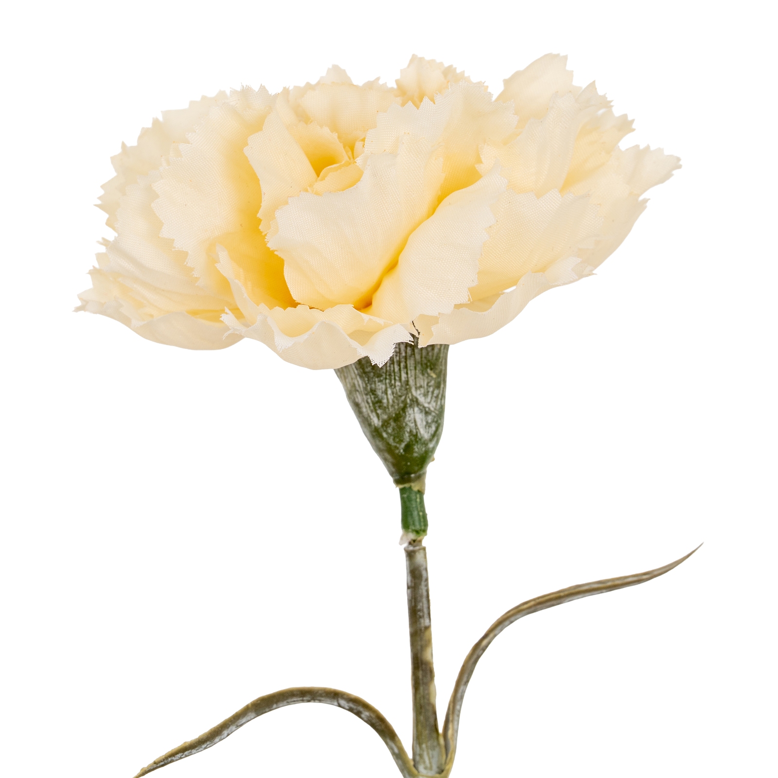Cremo Carnation Stem - Corinthia Corner