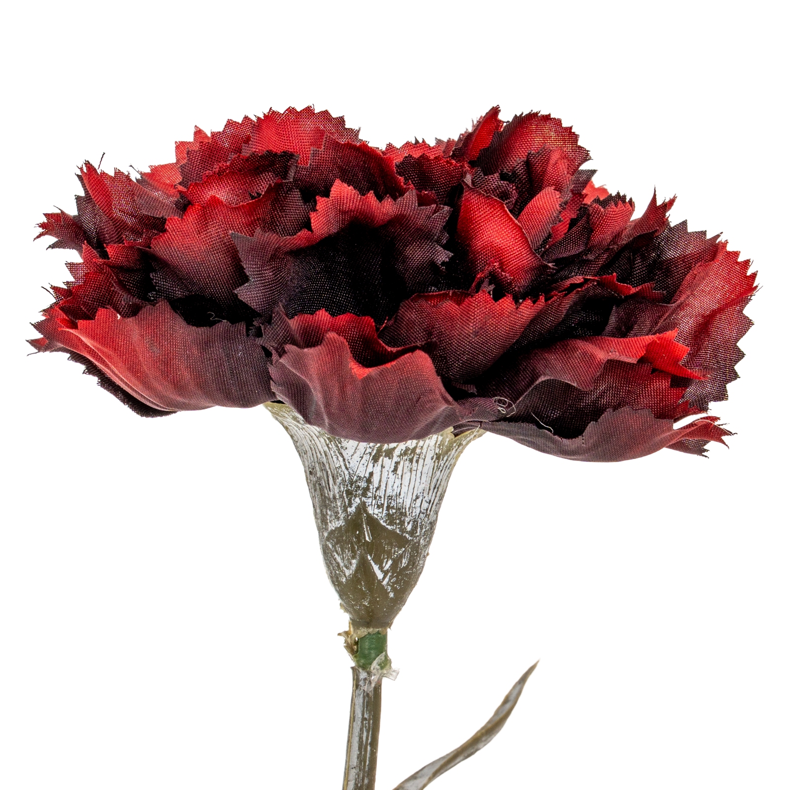 Burgo Carnation Stem - Corinthia Corner
