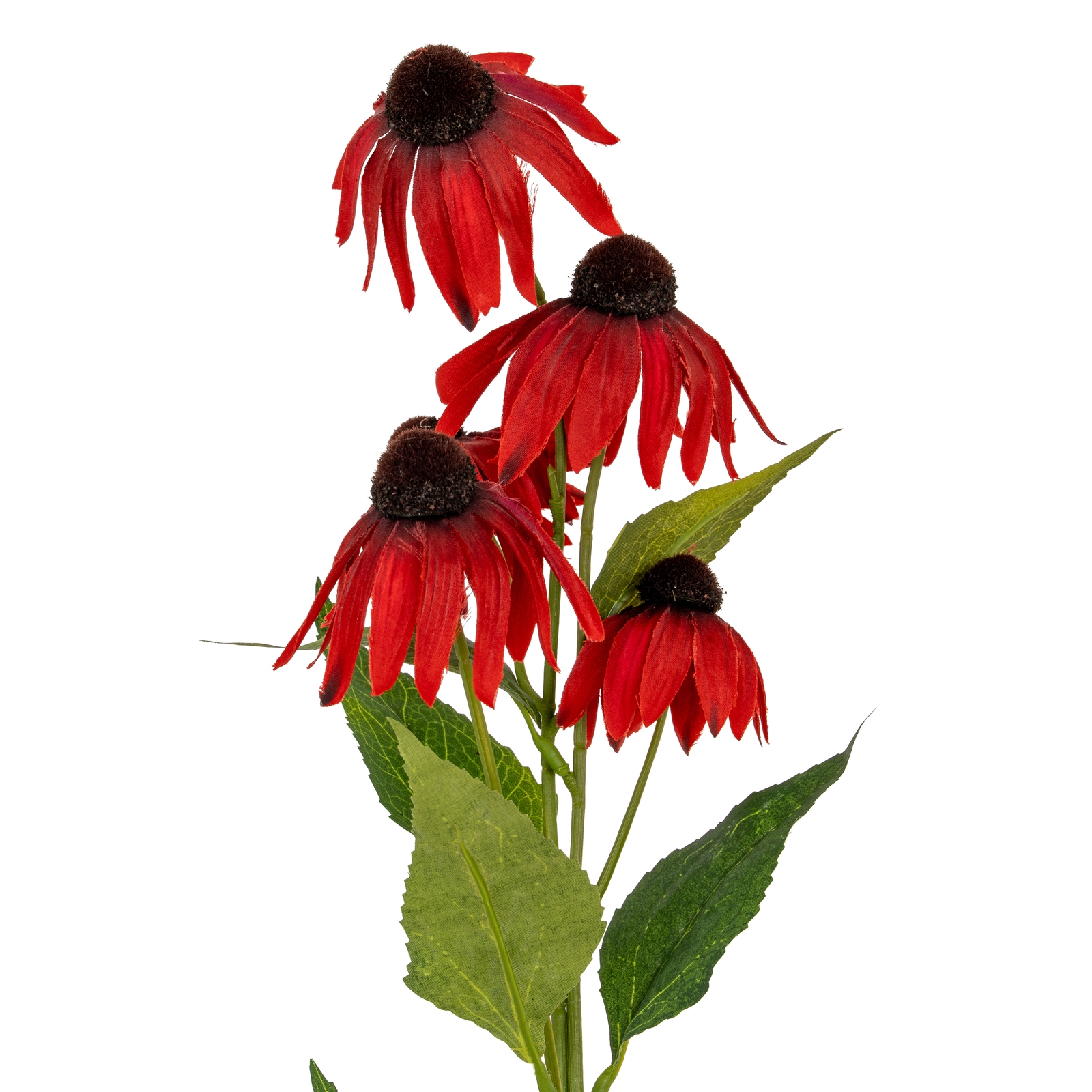 Red Echinacea Spray - Corinthia Corner