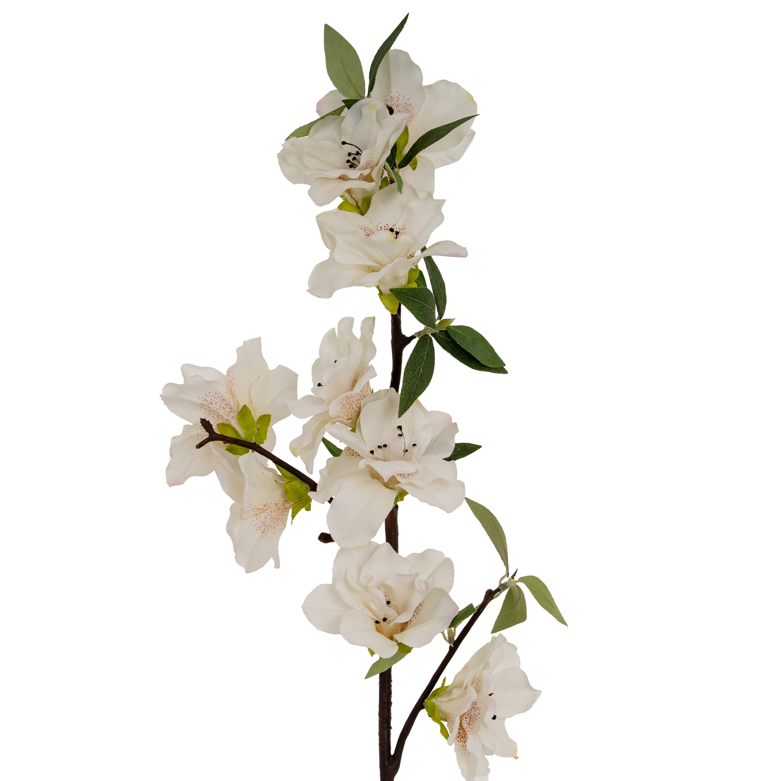 White Bloom Spray - Large - Corinthia Corner