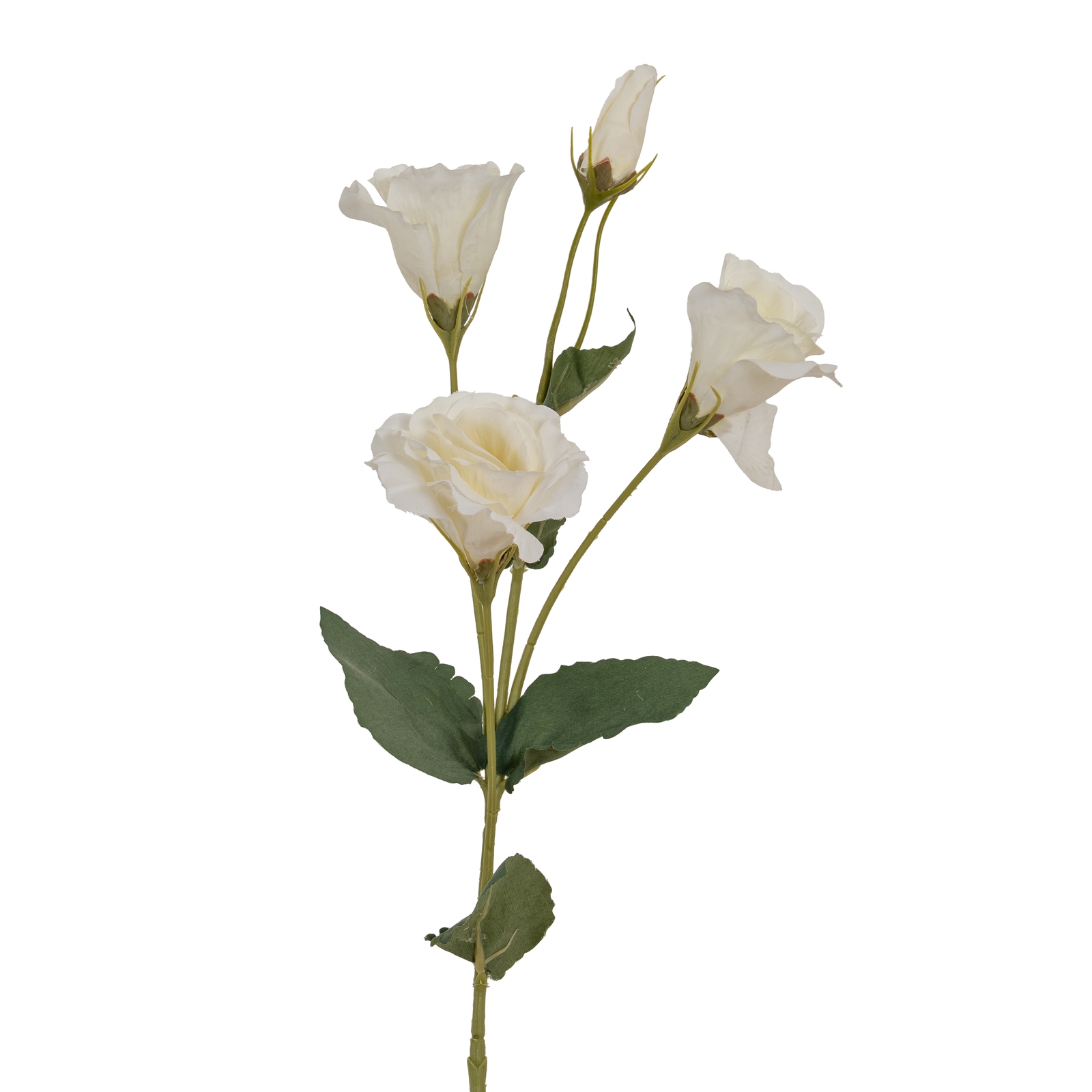 White Lisianthus Spray - Corinthia Corner