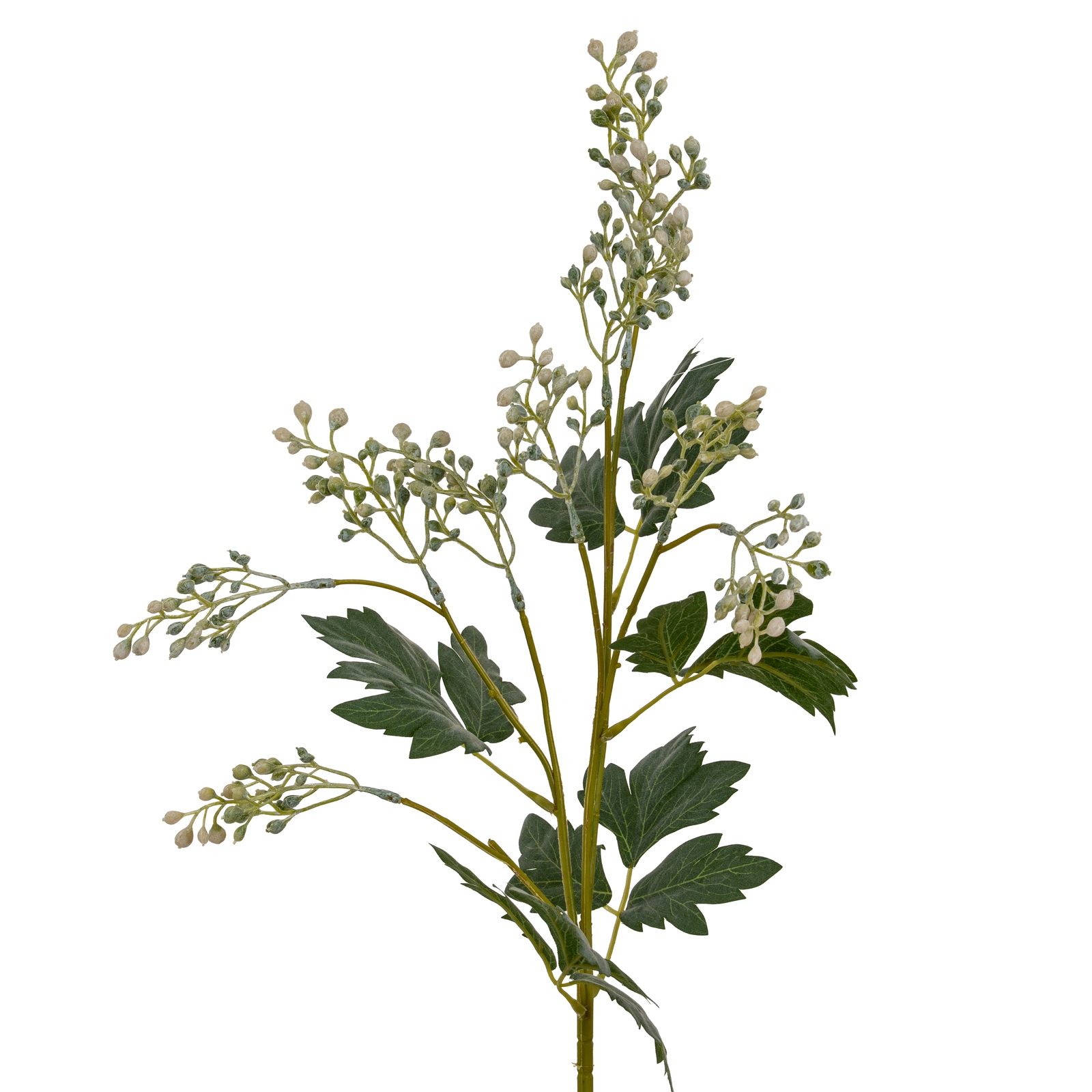 Milk Thistle Bud Spray - Corinthia Corner