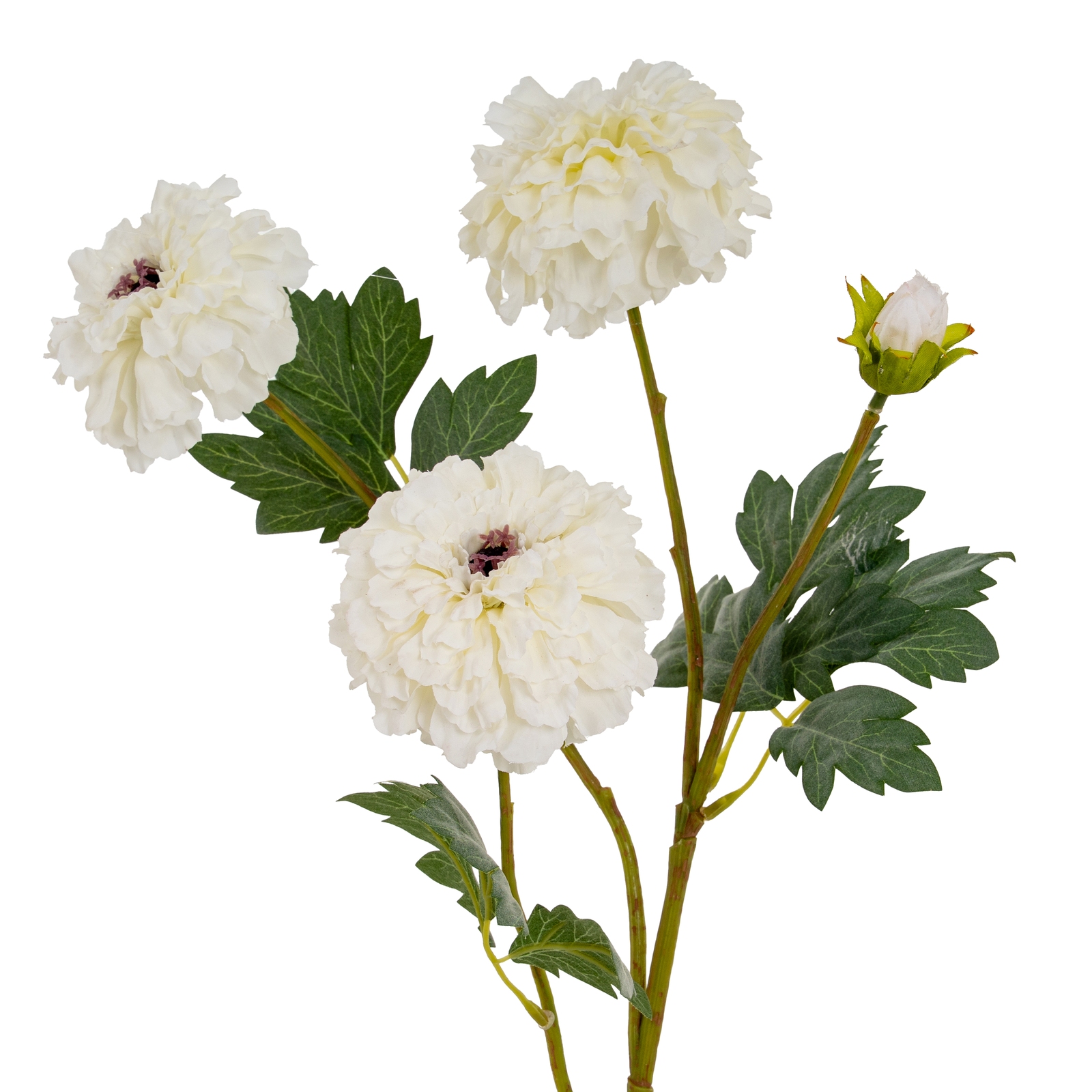African Marigold Spray - Large - White - Corinthia Corner