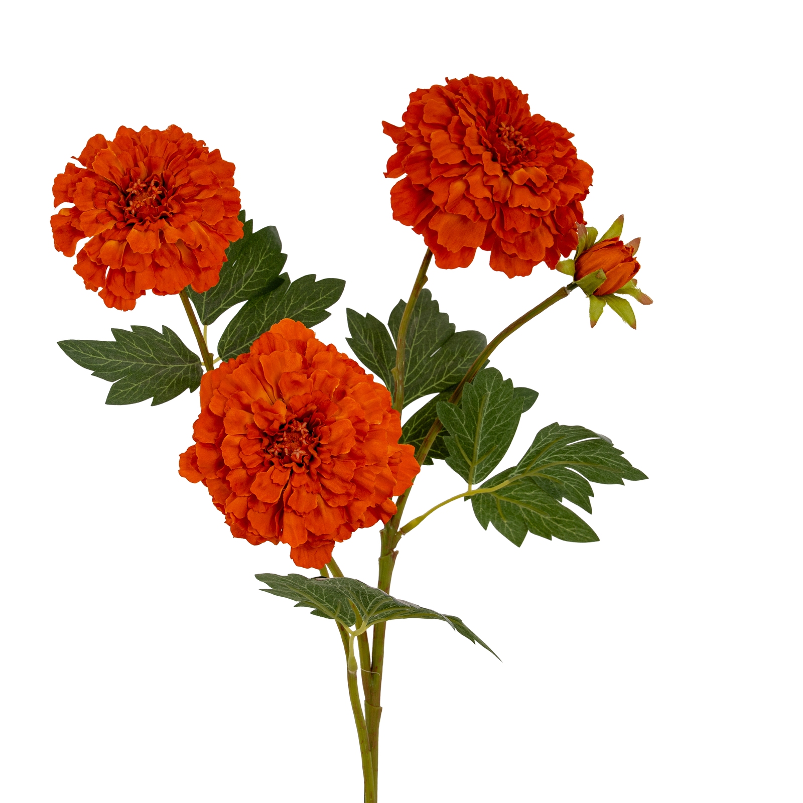 Blanor Orange African Marigold Spray - Large - Corinthia Corner