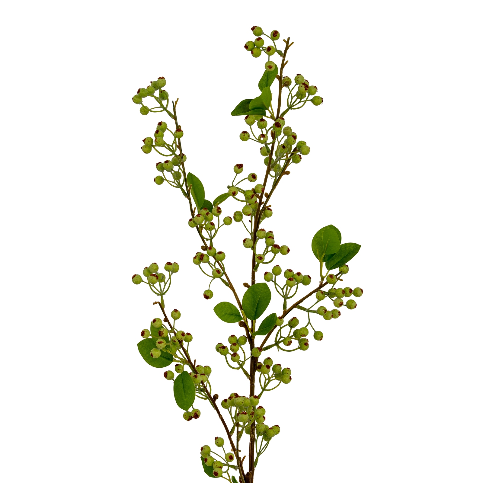 Blanor Green Mossberry Branch - Large - Corinthia Corner