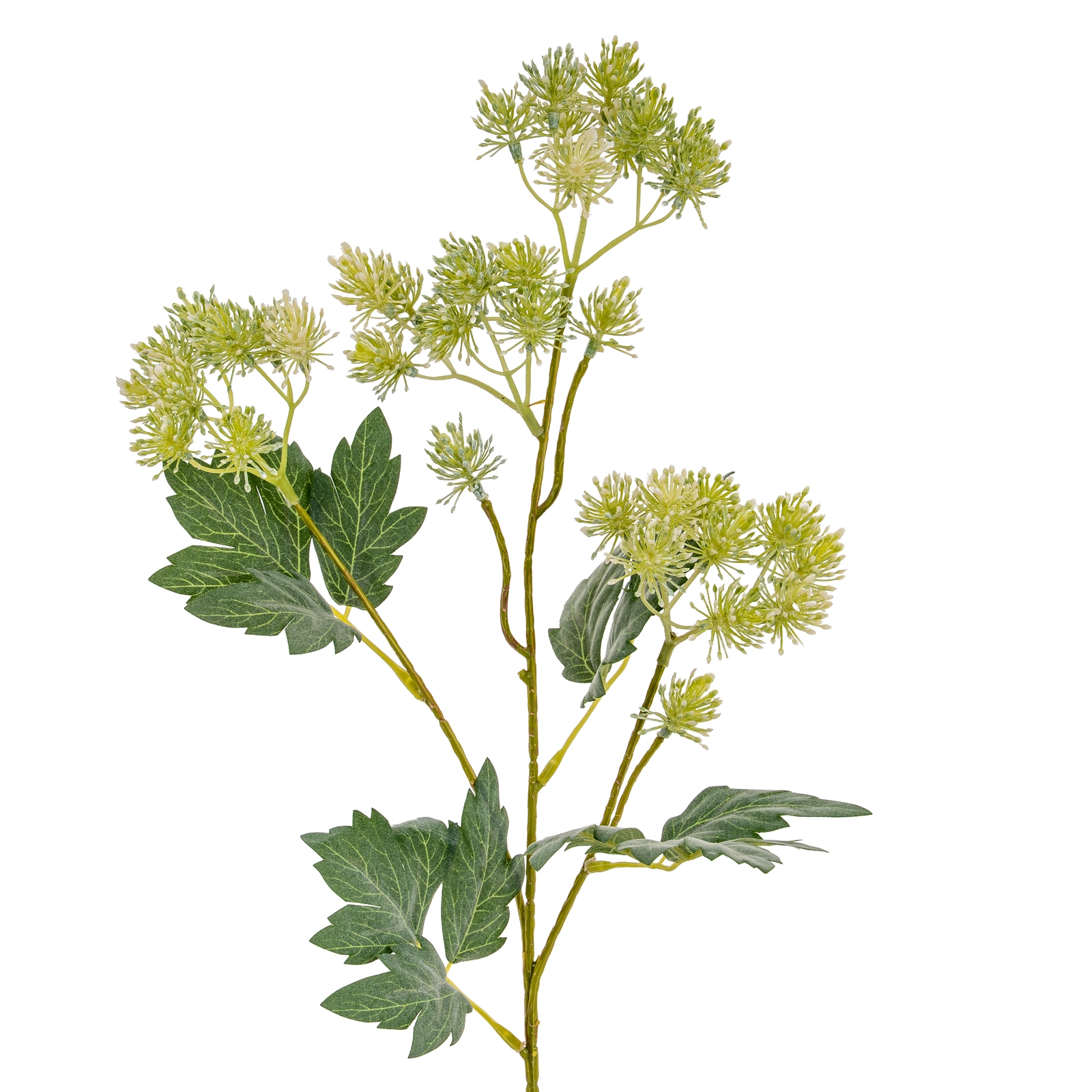 Blanor Green French Meadow Spray - Corinthia Corner