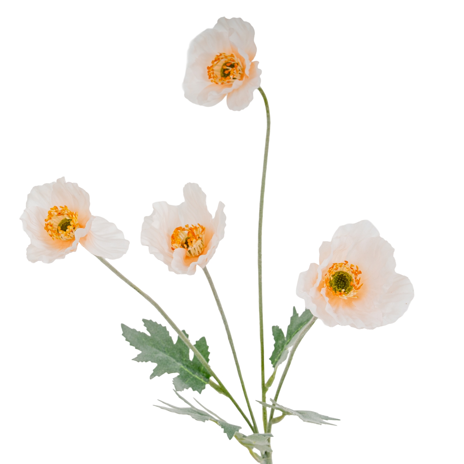 Cremo Papaver Poppy Spray - Corinthia Corner