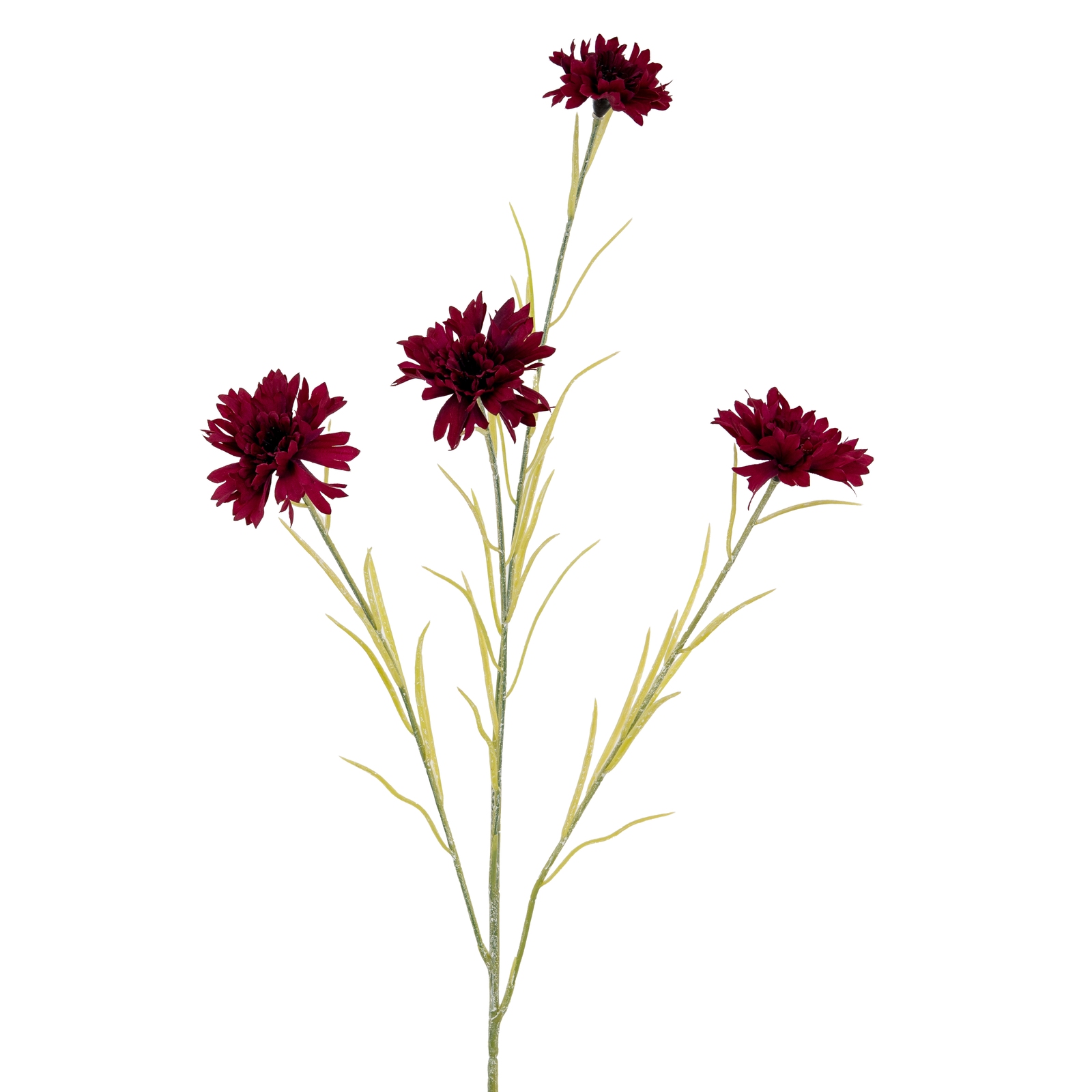 Burgo Cornflower Stem - Corinthia Corner