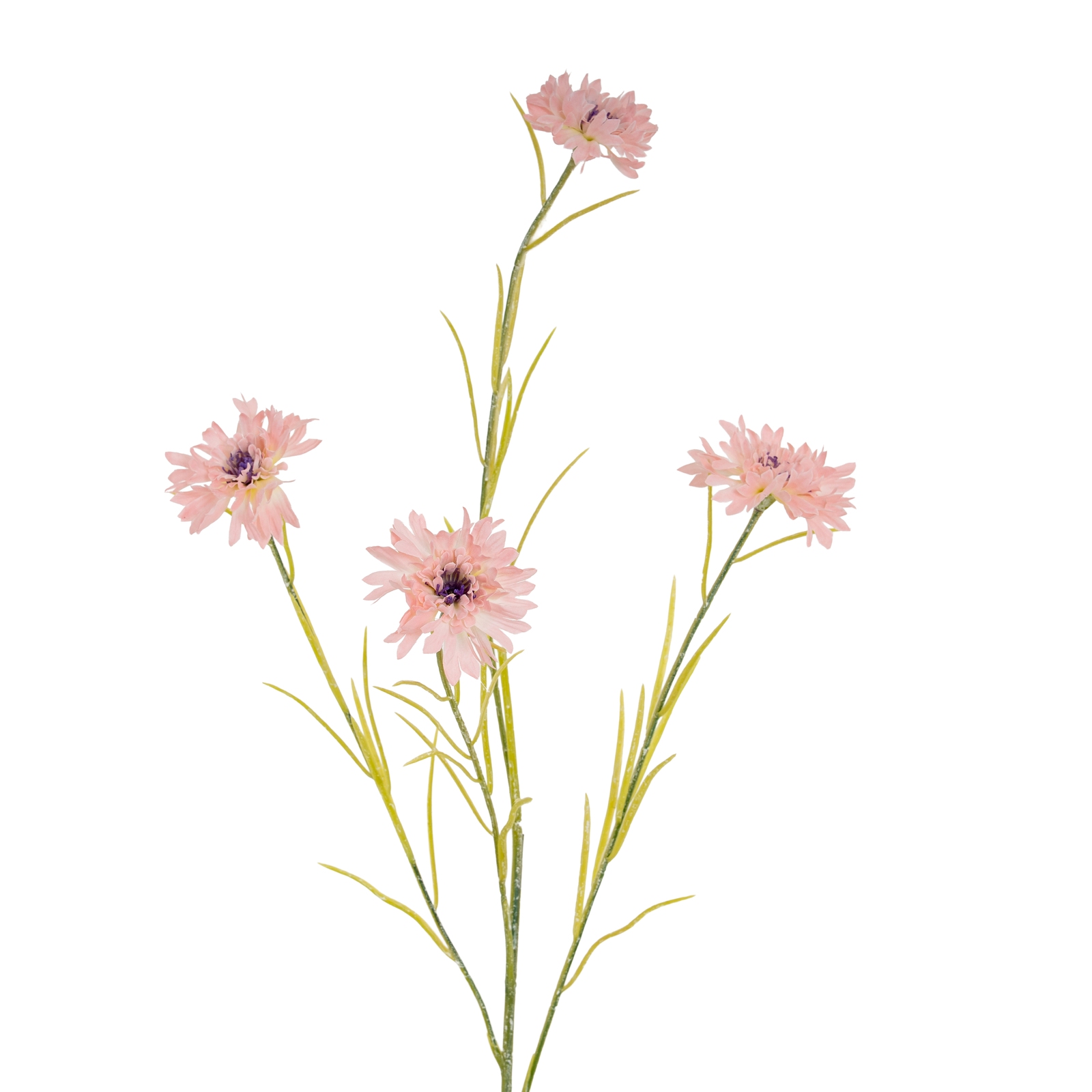 Blanor Pink Cornflower Stem - Corinthia Corner