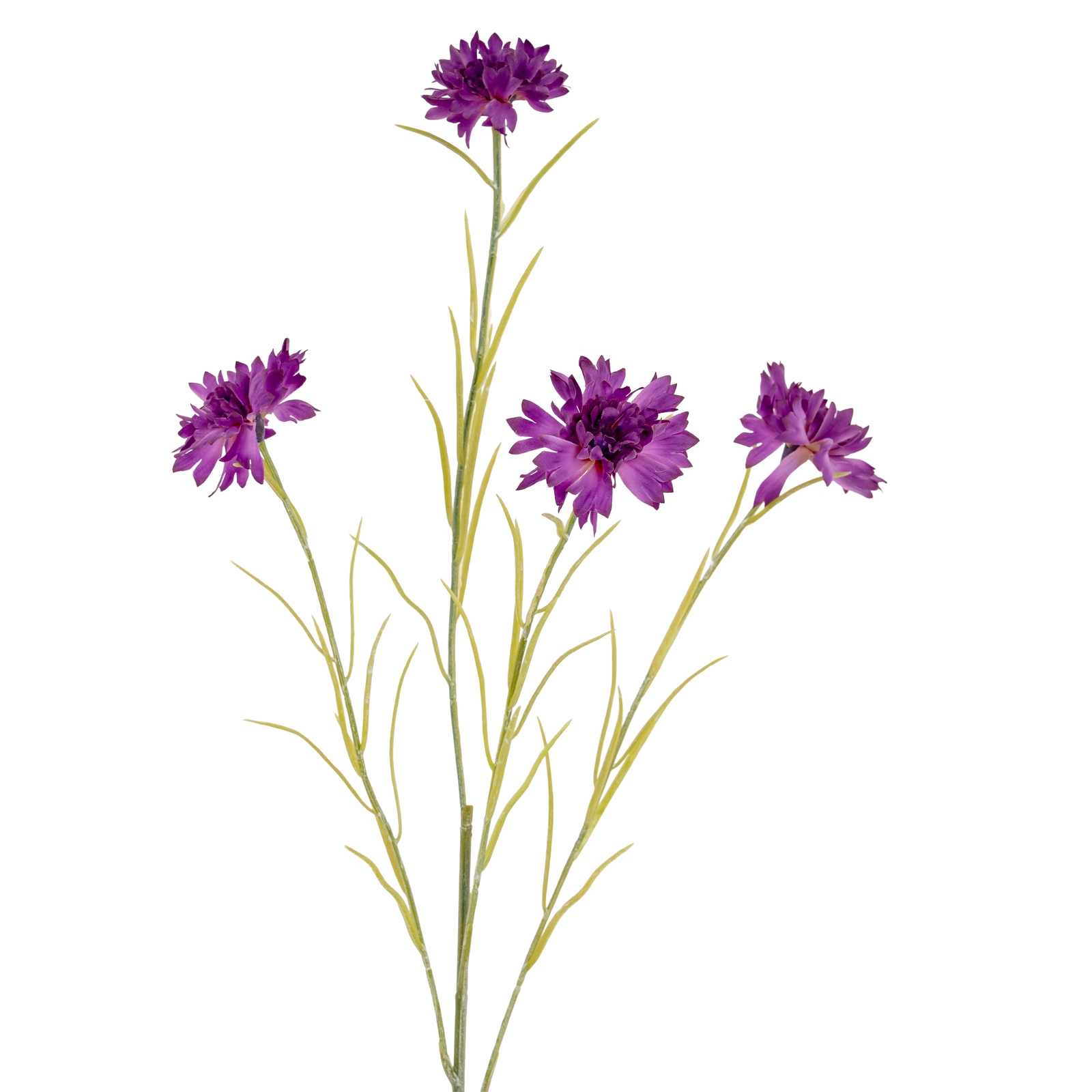 Purpo Cornflower Stem - Corinthia Corner