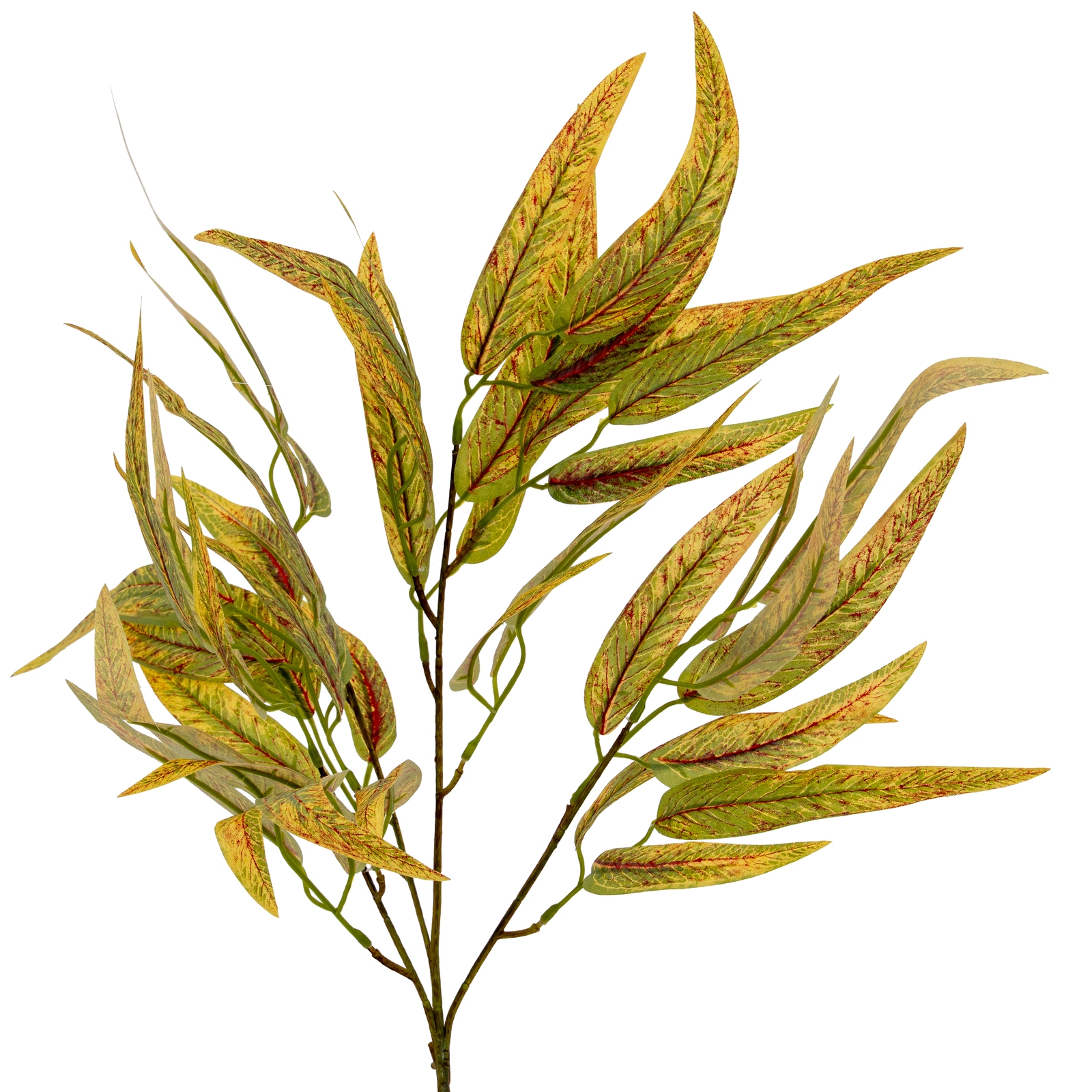 Variegated Long Leaf Eucalyptus Spray - Corinthia Corner