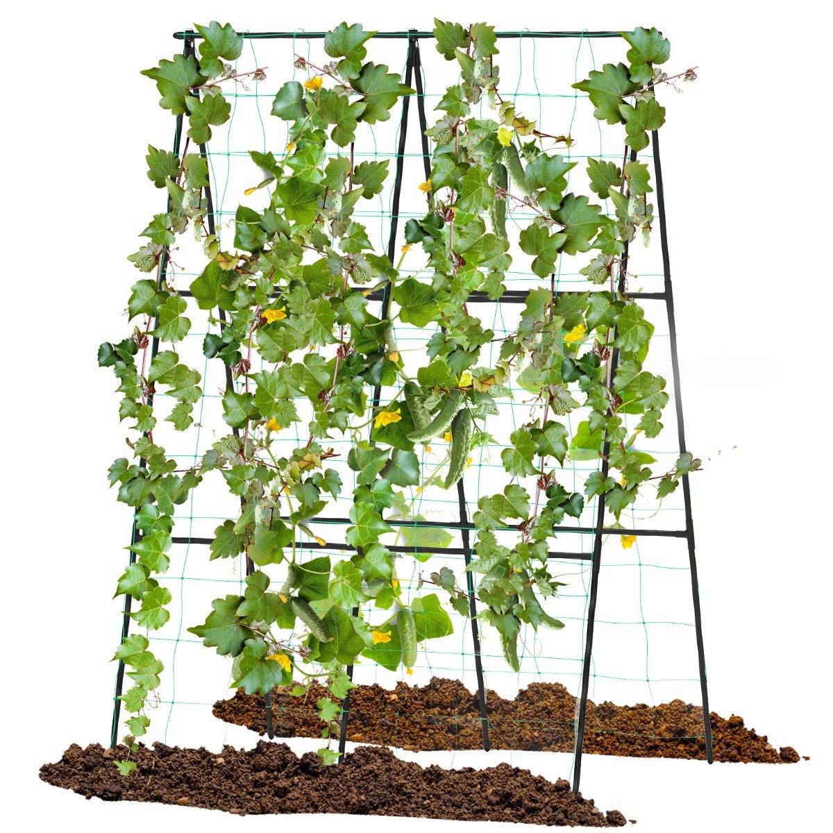 A-Frame Outdoor Trellis for Climbing Plants Garden Trellis - Savings Store