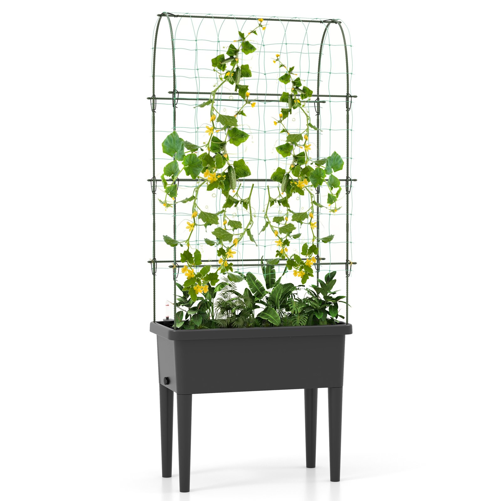 Self-watering Raised Garden Bed with Climbing Trellis-Black - Savings Store