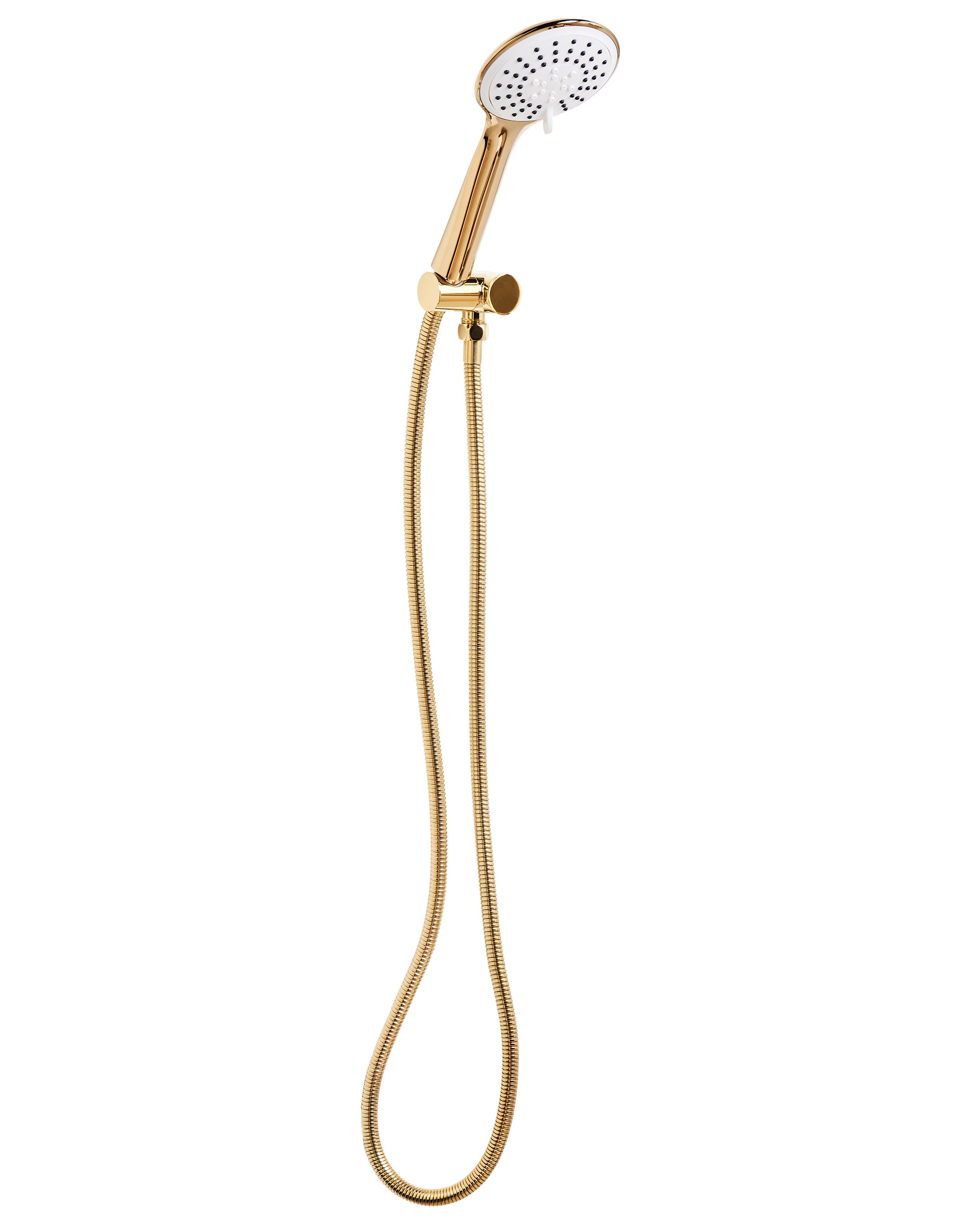 DALEWORTH Shower Head and Hose Kit - Gold - Gemini Interiors