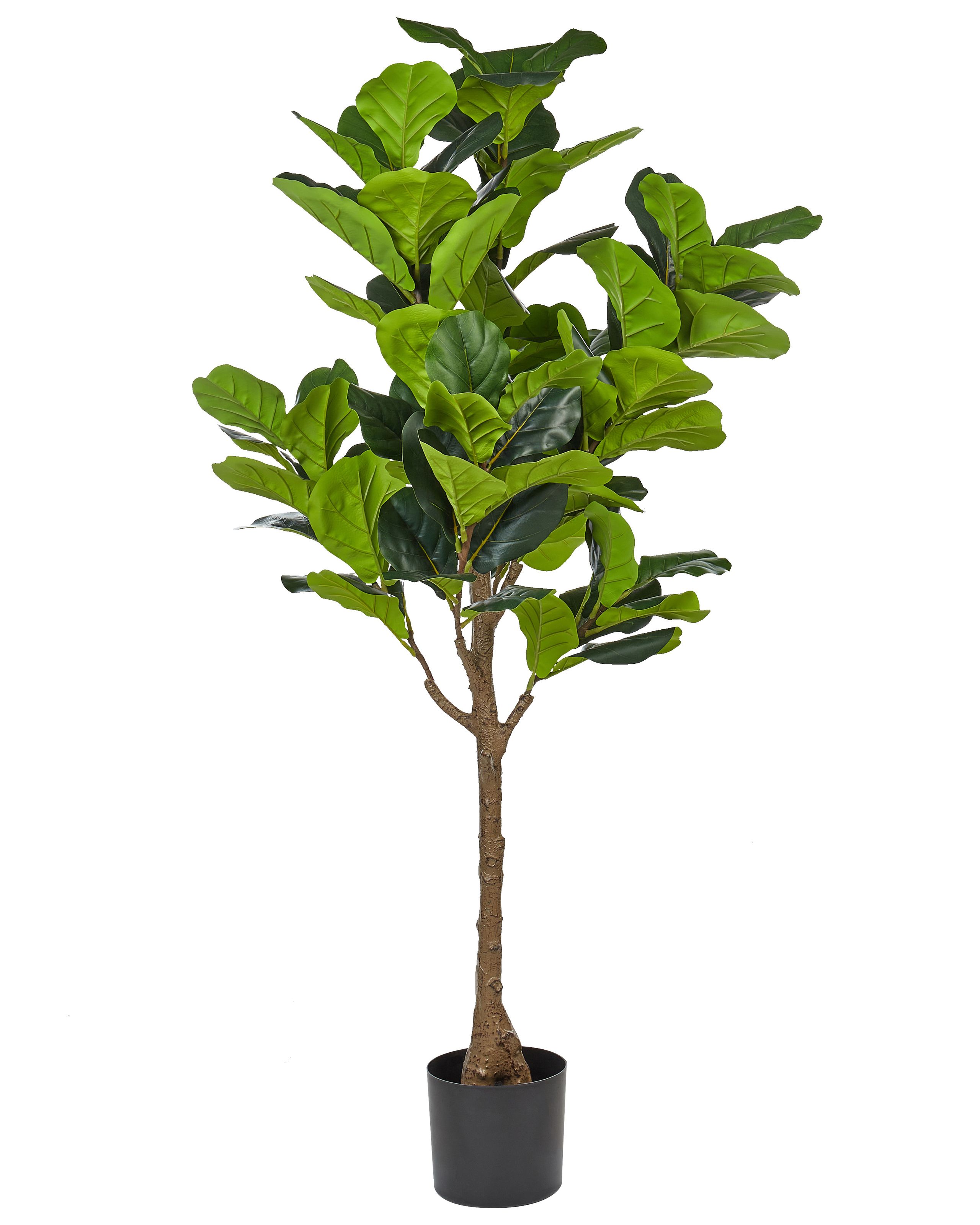 Artificial Potted Plant 162 cm FIG TREE - Gemini Interiors