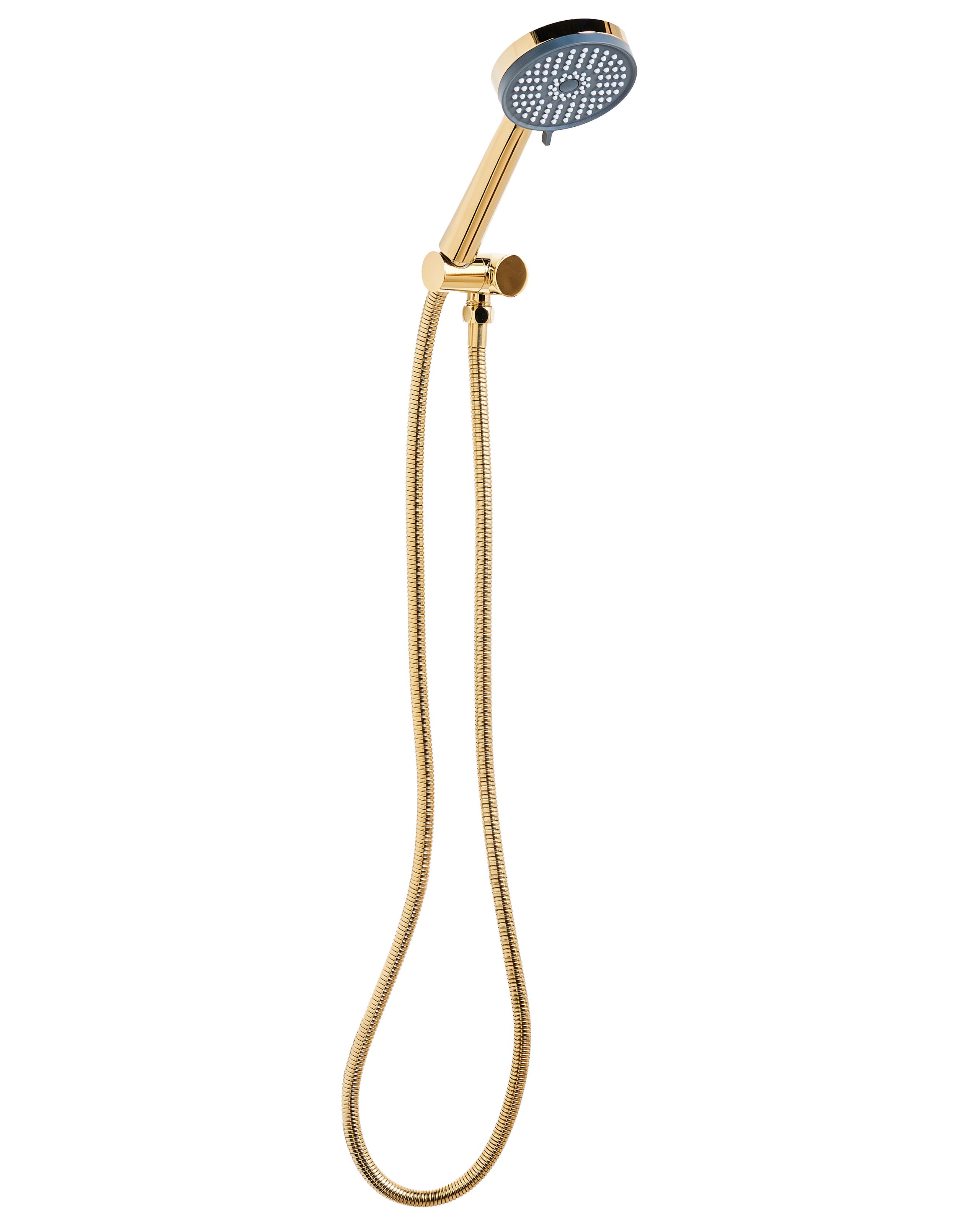 DALCOMBE Shower Head and Hose Kit - Gold - Gemini Interiors